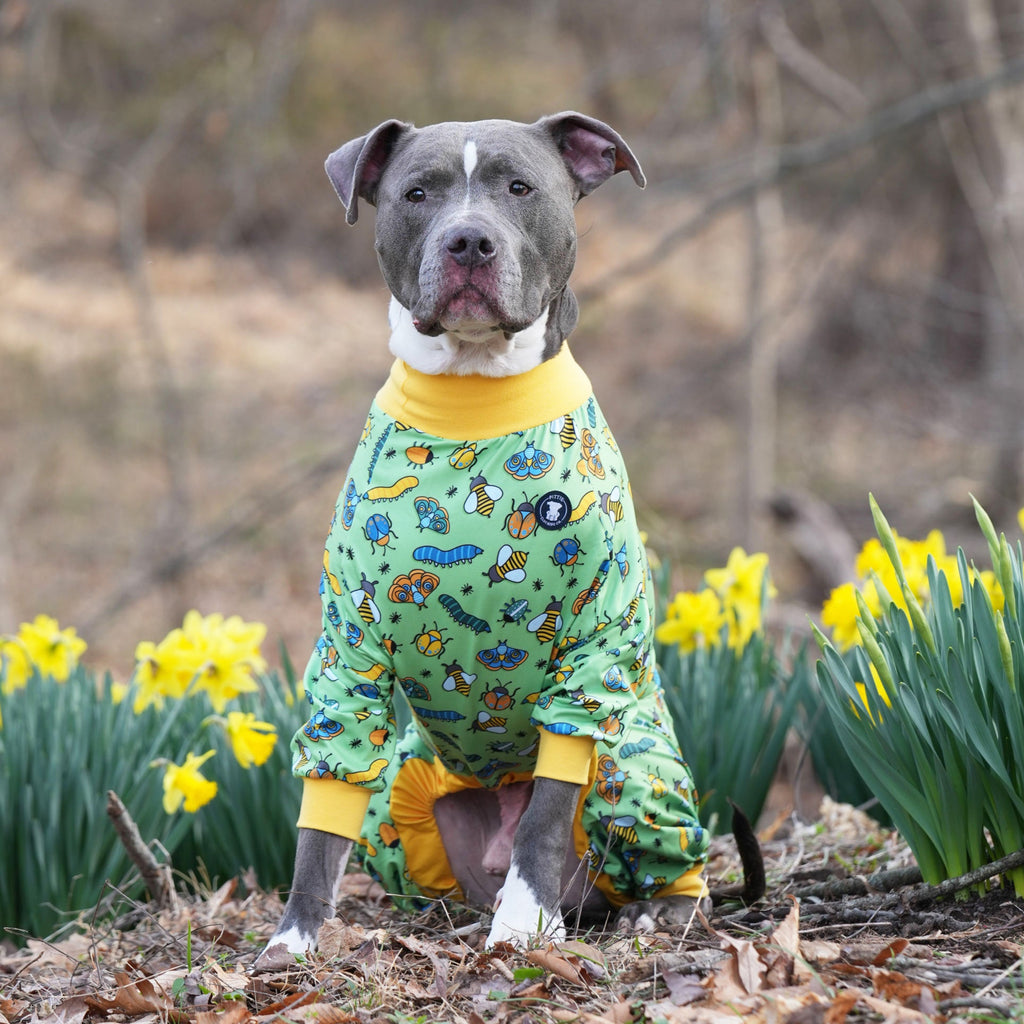 Snuggle Bug Pitbull Pajamas – Pittie Clothing