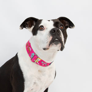 Pitbull Mom Pit Bull Terrier Dog Owner Wallpaper by Streetwear KKS