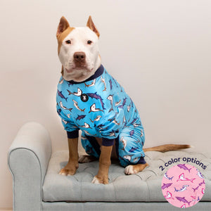 Pitbull Wearing Shark Pajamas by Pittie Clothing Co.