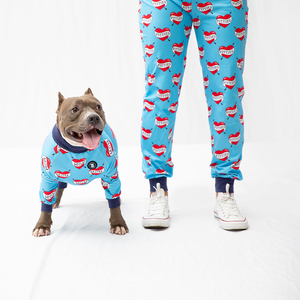 dog human matching pajamas, dog human matching pajamas Suppliers