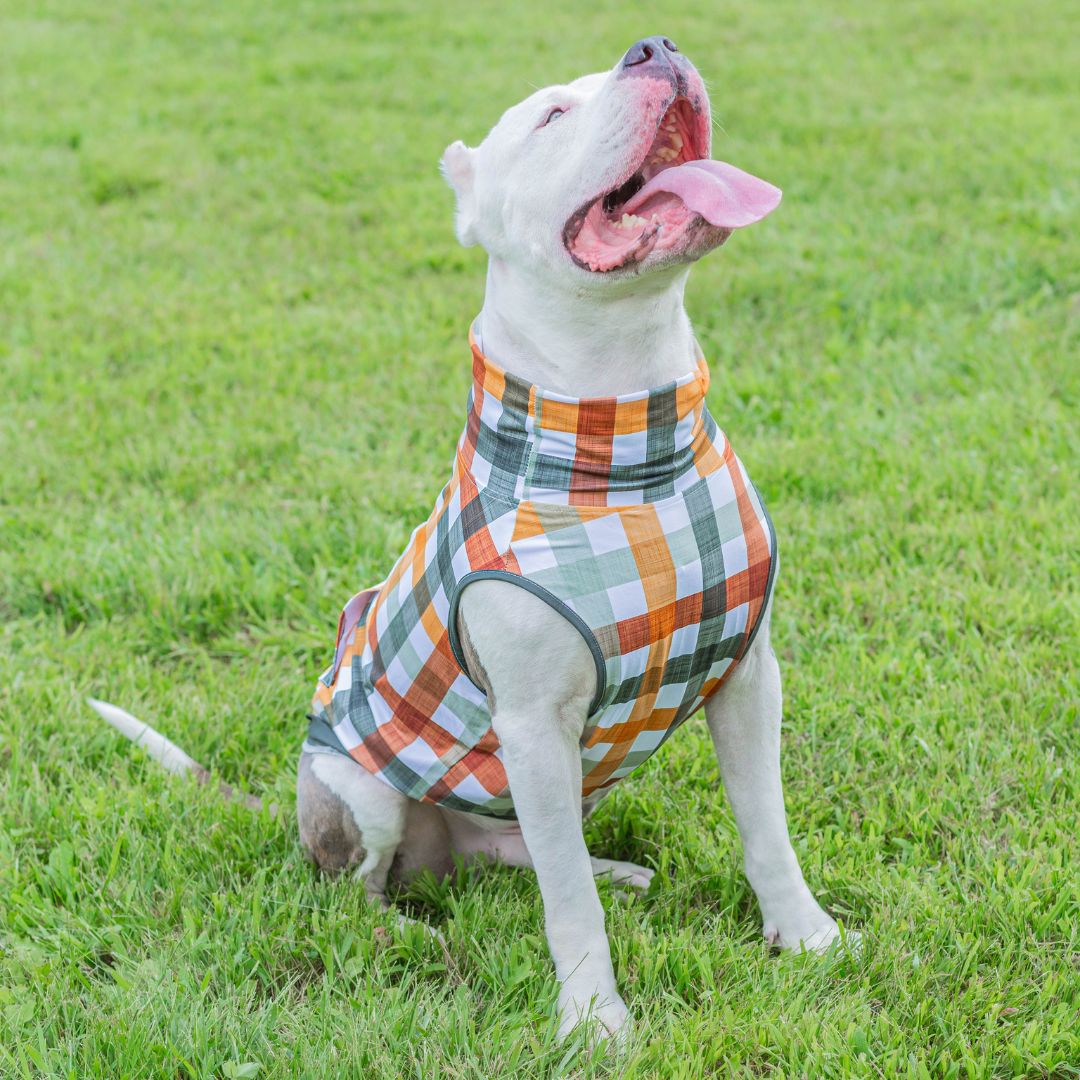 Woofland Woods Muscle Tee