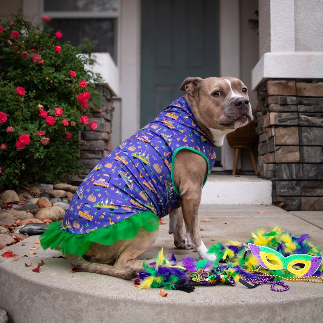 Pittie Gras Parade TUTU