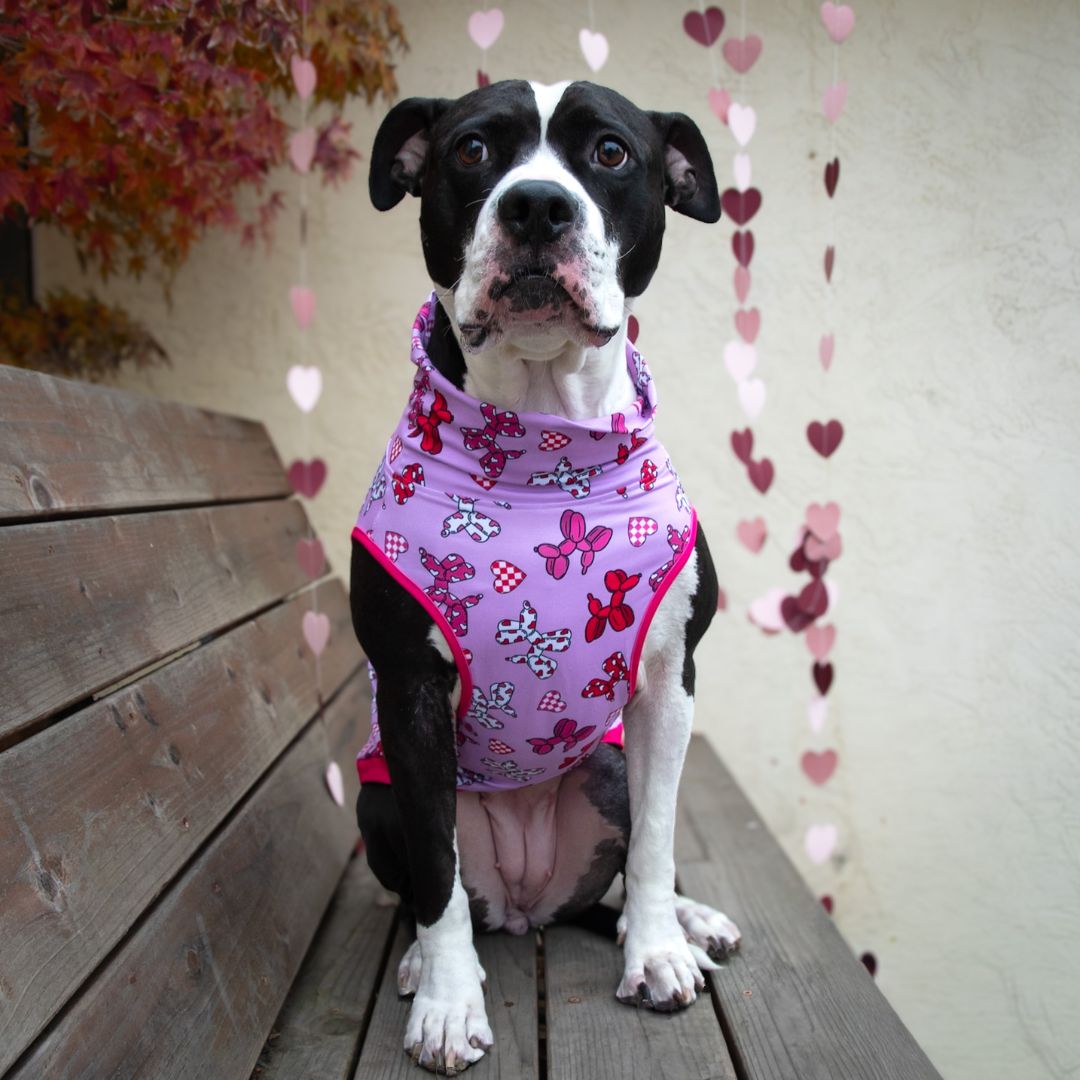 Heartbreaker Hound Muscle Tee