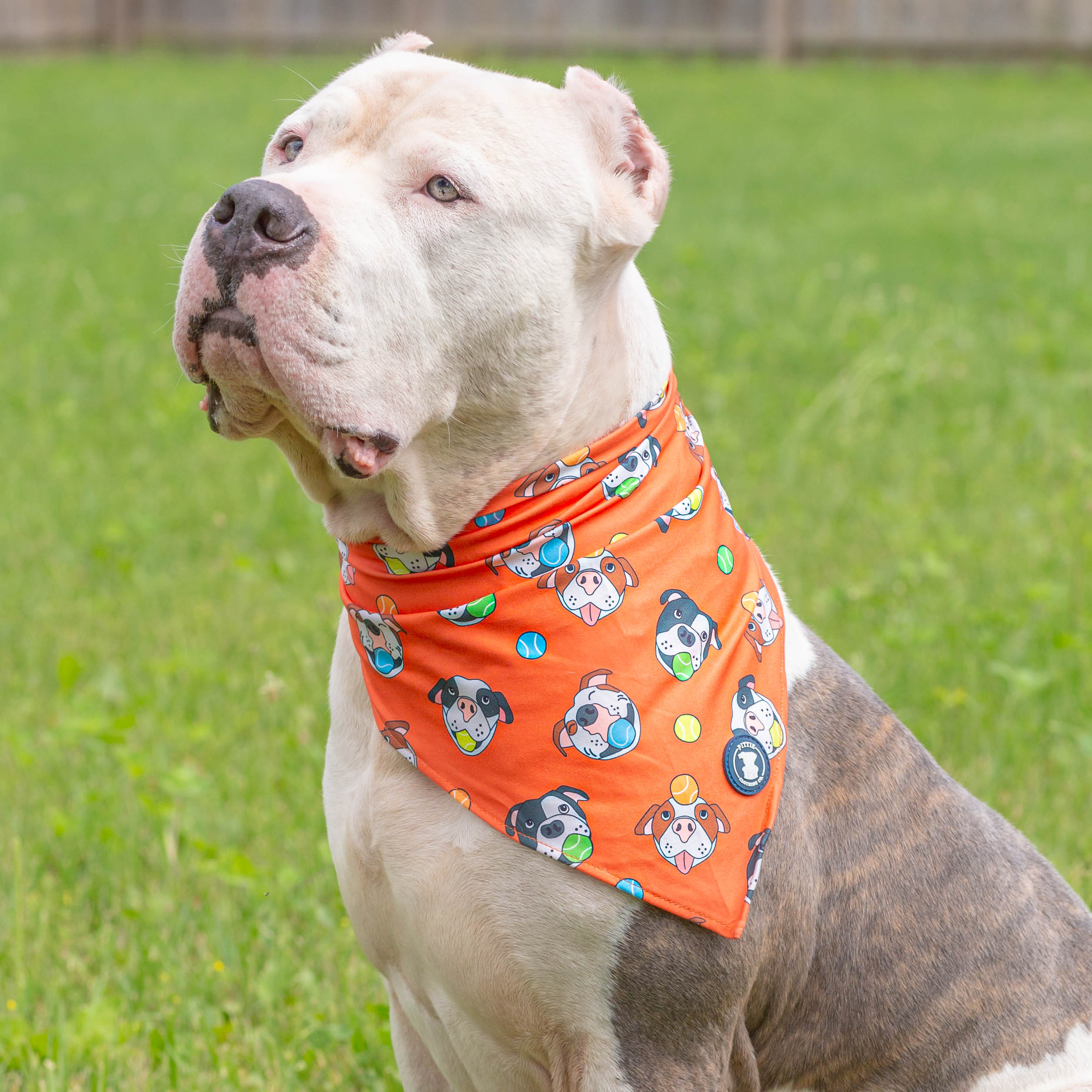 'So Fetch' Bandana