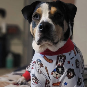 Bull Terrier Best Dog Sweaters For Pitbulls Tooth And Honey Pit