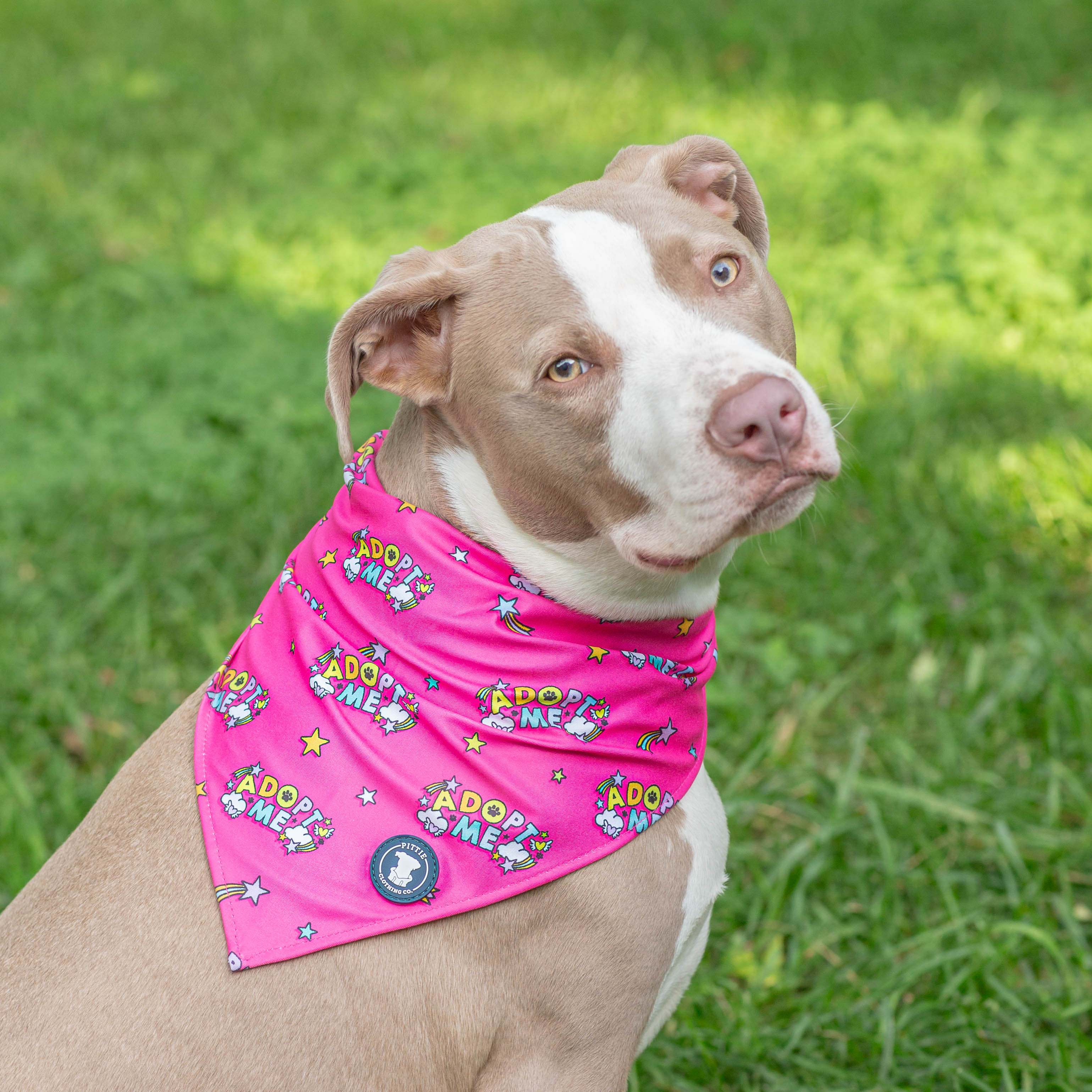 Adopt Me - Pink Bandana