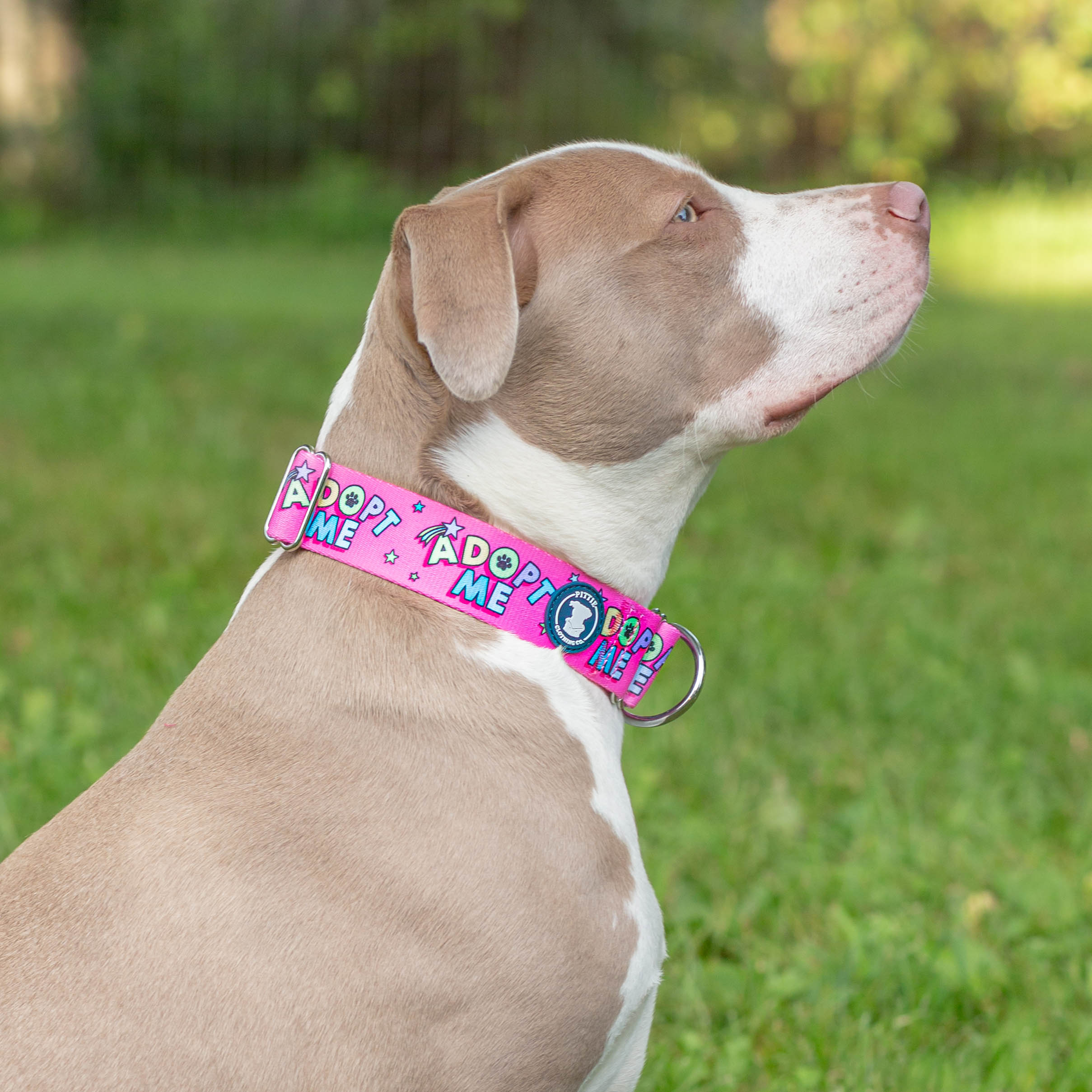 Adopt Me - Pink Collar