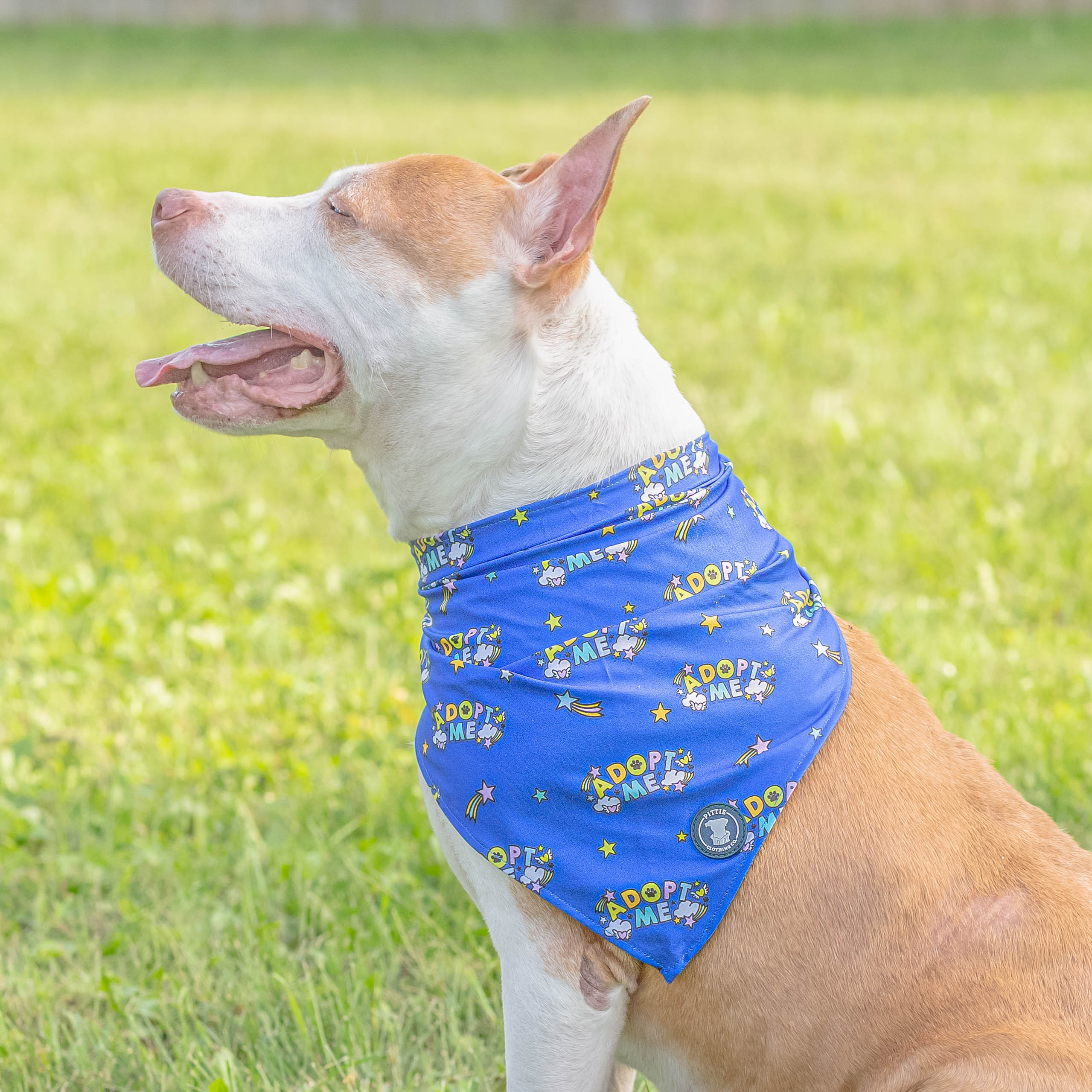 Adopt Me - Blue Bandana