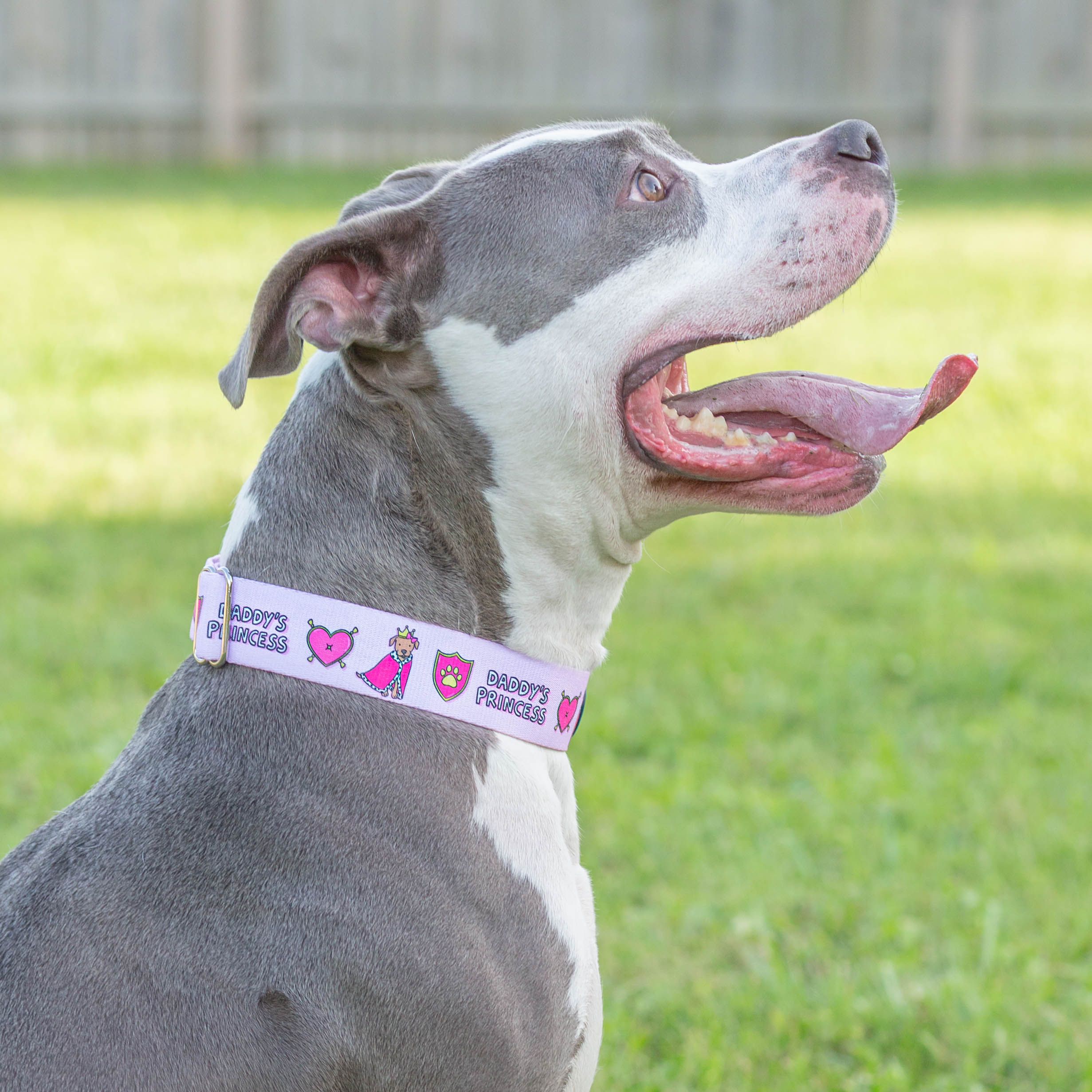 Daddy's Crown Princess Collar