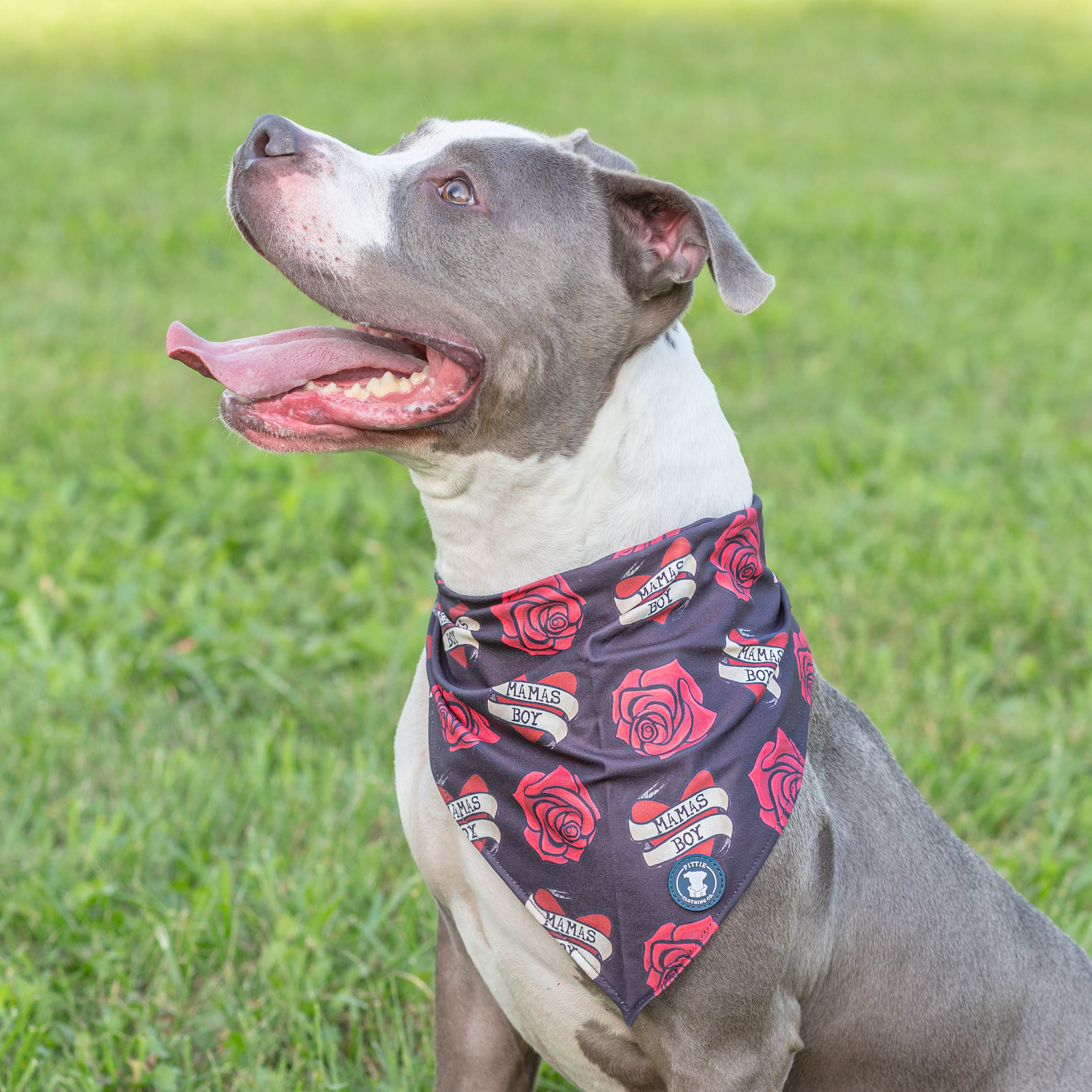 Mama's Boy Bandana
