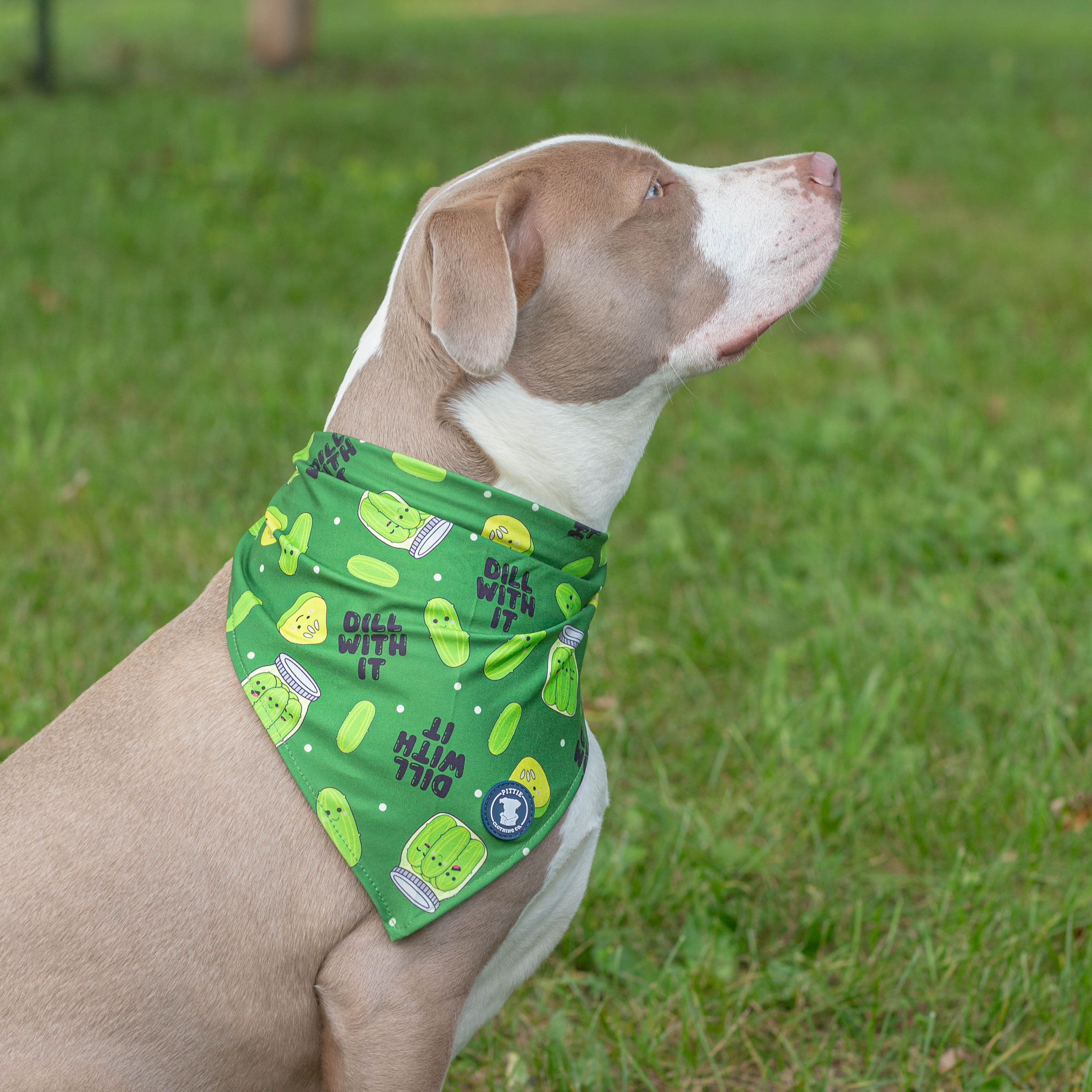 Kind of a Big Dill Bandana