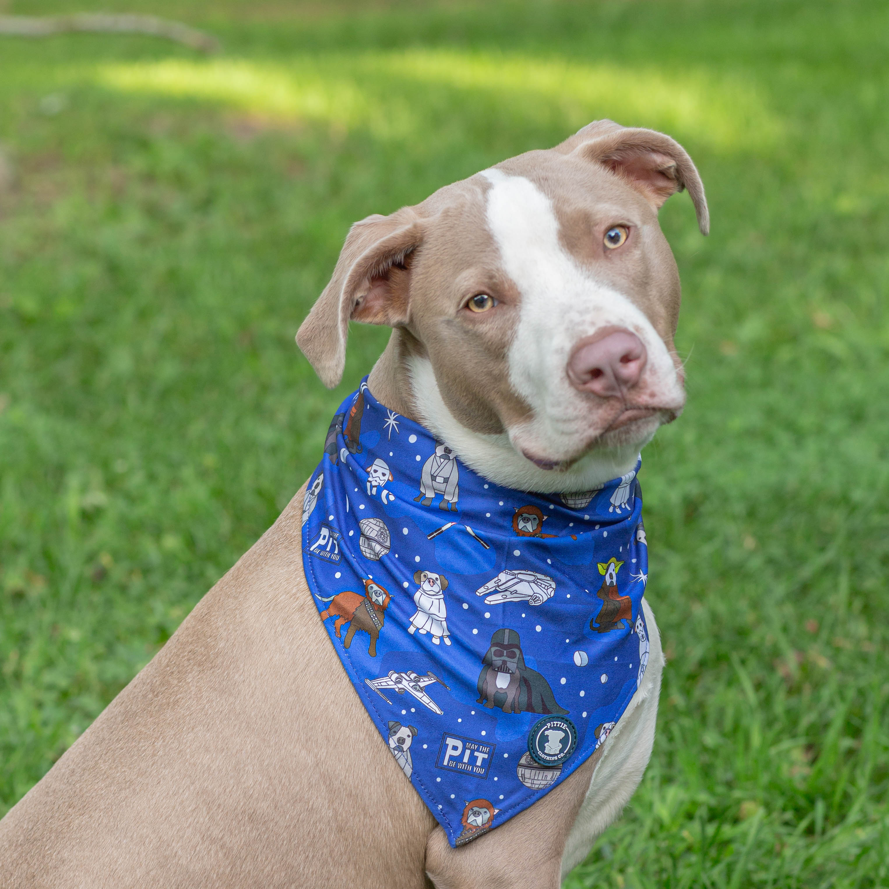 May the Pit Be With You Bandana
