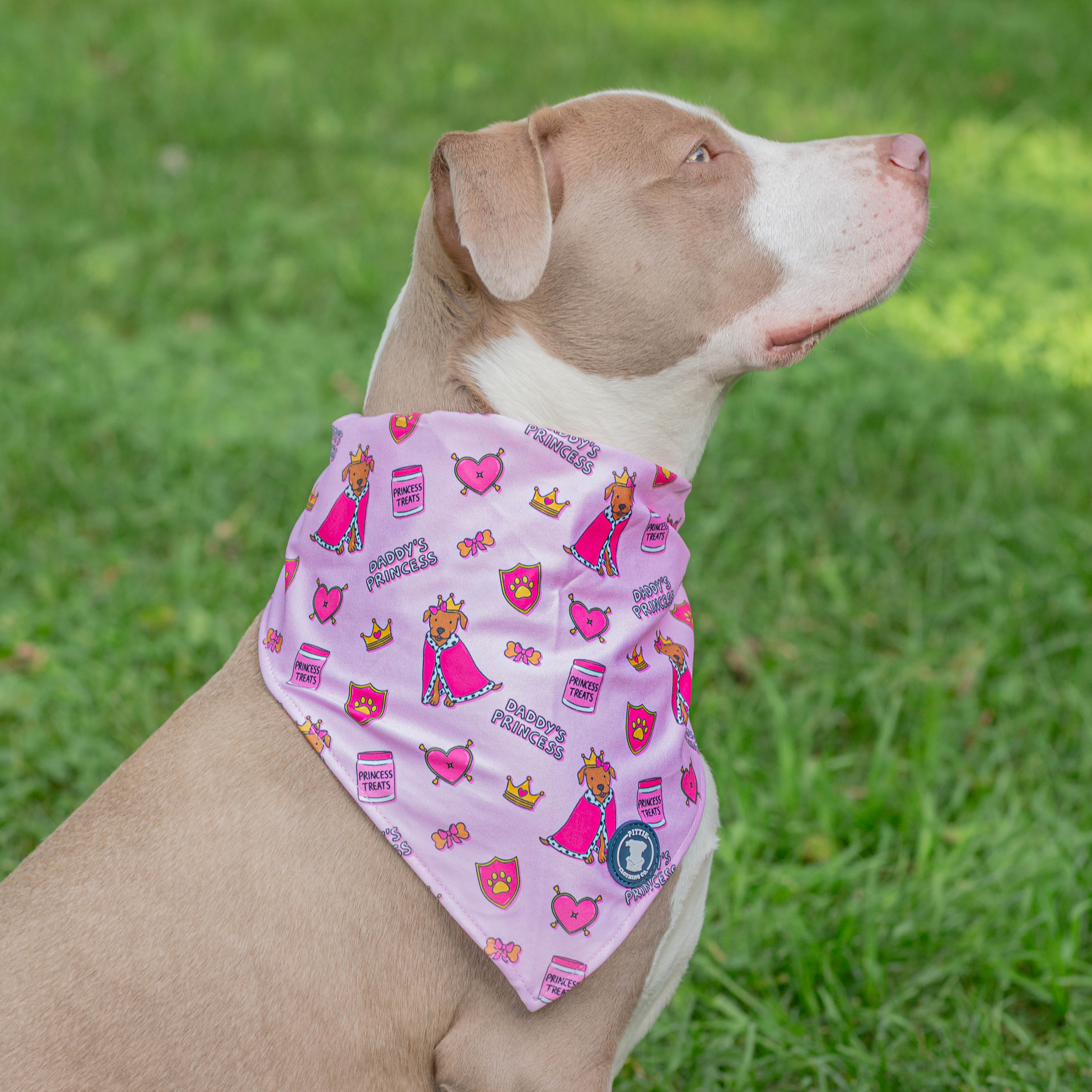 Daddy's Crown Princess Bandana