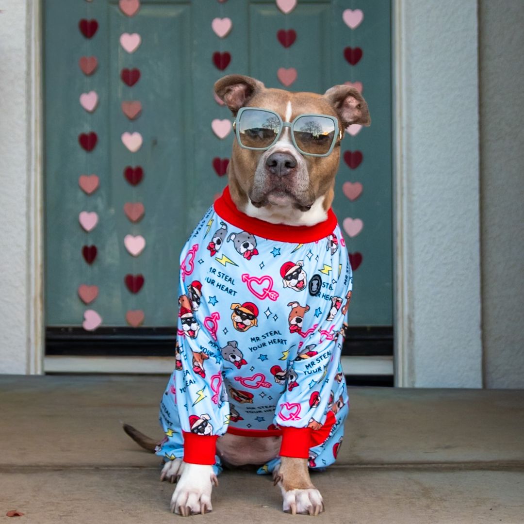 Mr. Steal Ur Heart Pitbull Pajamas
