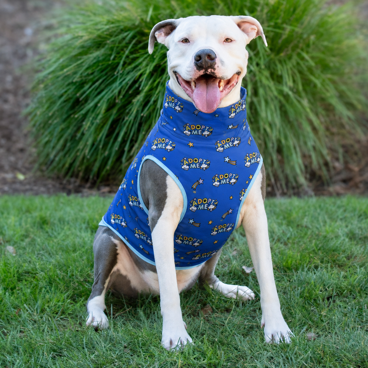 Adopt Me - Blue Muscle Tee