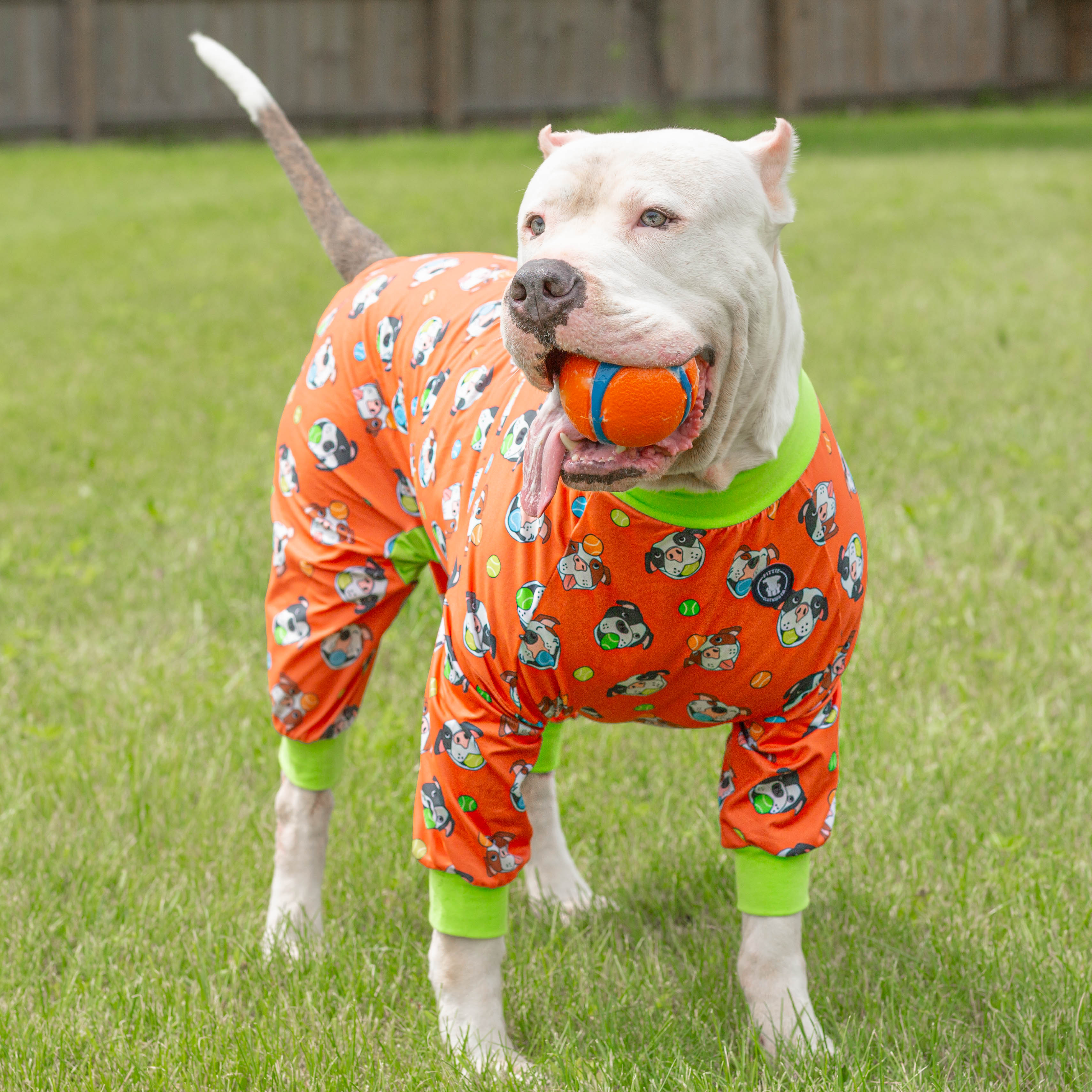 'So Fetch' Pit bull Pajamas