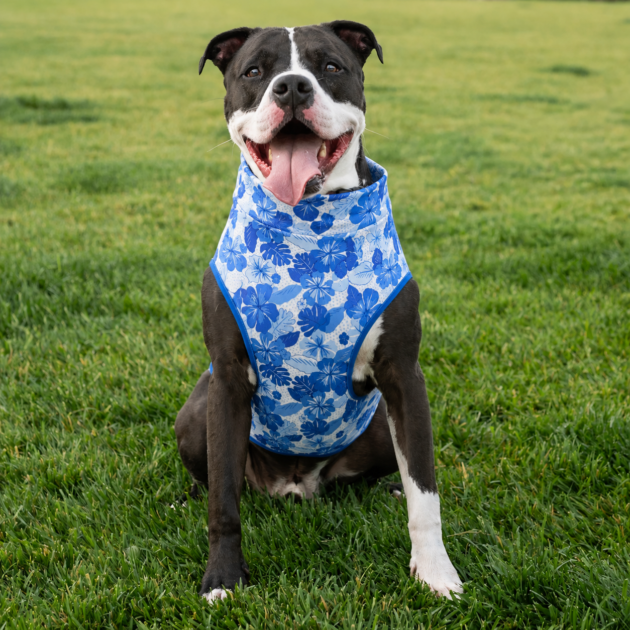 Lei'd Back Pittie Muscle Tee