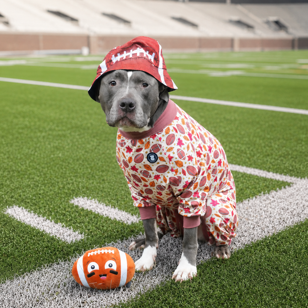 Touchdown Tails Pitbull Pajamas