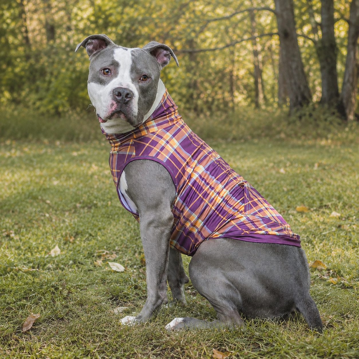 Fetching Fall Plaid Muscle Tee