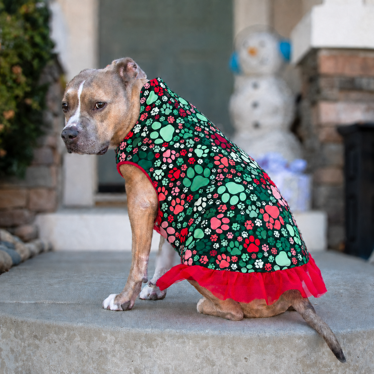 *PRE-ORDER* Deck the Paws TUTU