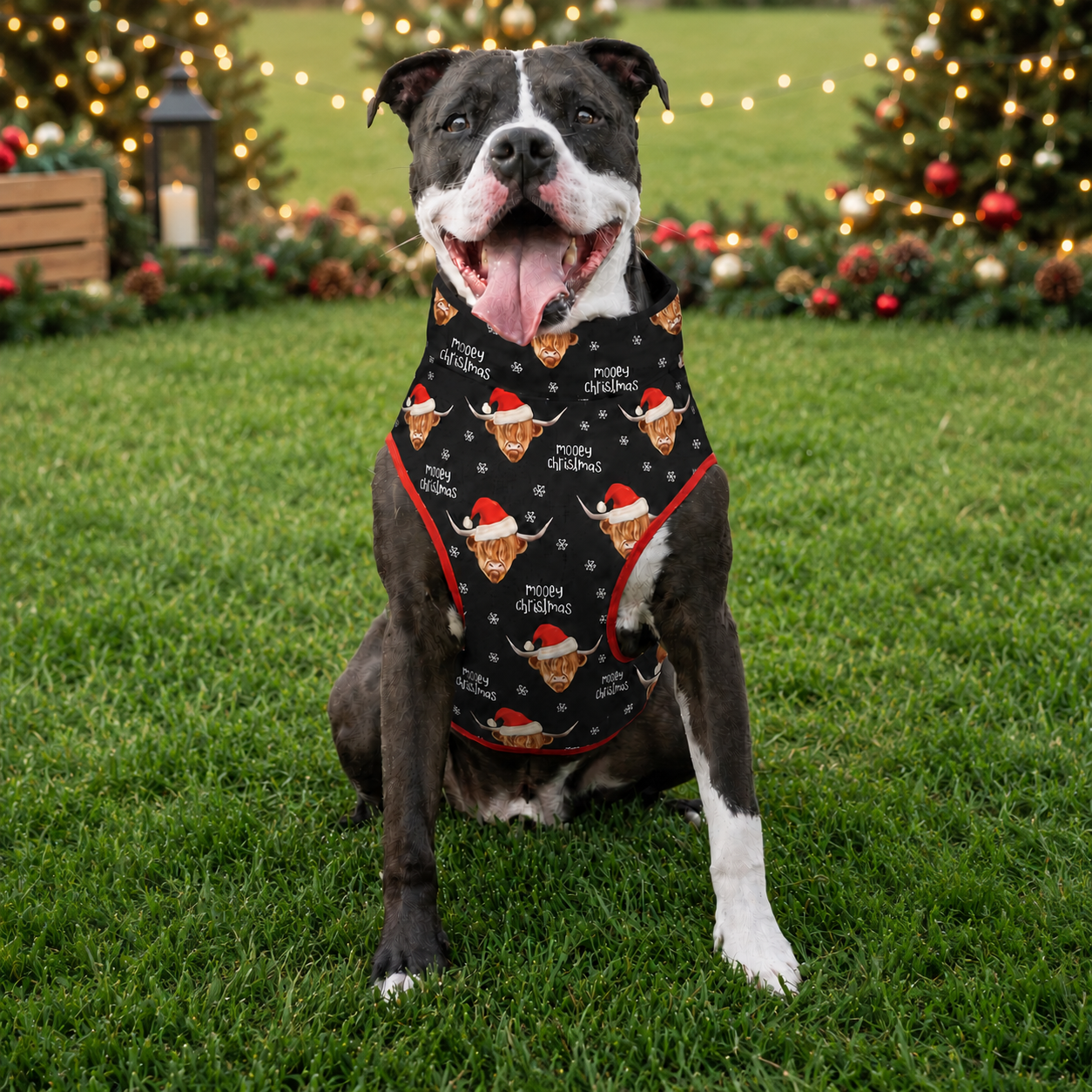 *PRE-ORDER* Mooey Christmas Muscle Tee