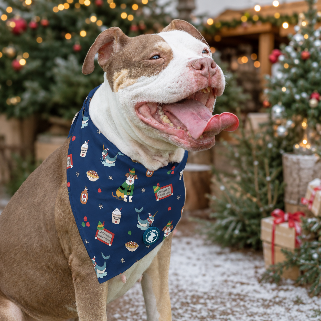 *PRE-ORDER* Cotton Headed Pittie Muggins Bandana