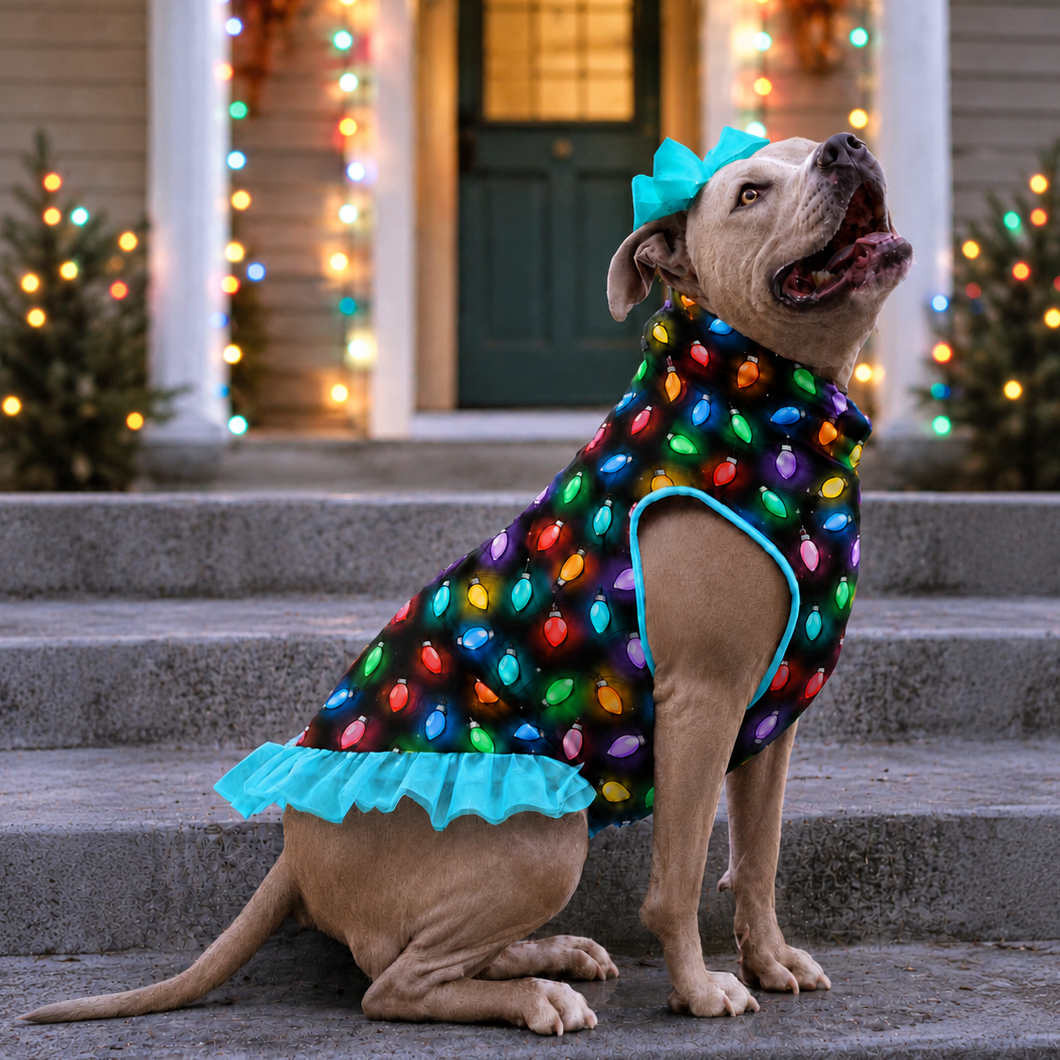 *PRE-ORDER* Holiday Glow Up TUTU