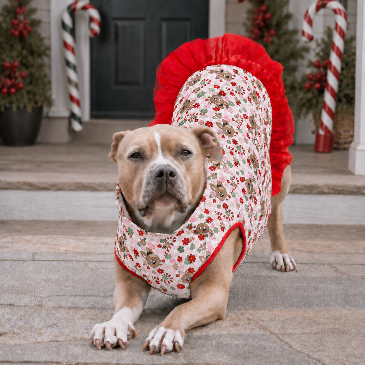 *PRE-ORDER* Puppermint Prancer TUTU