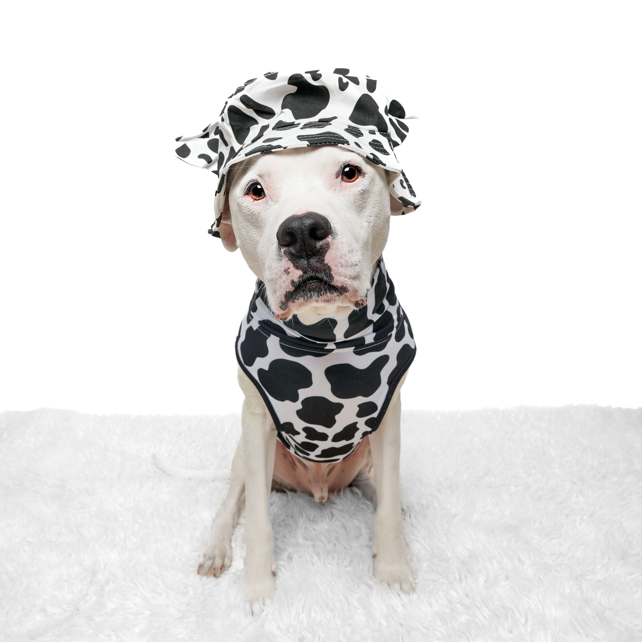 In a Moo'd Muscle Tee