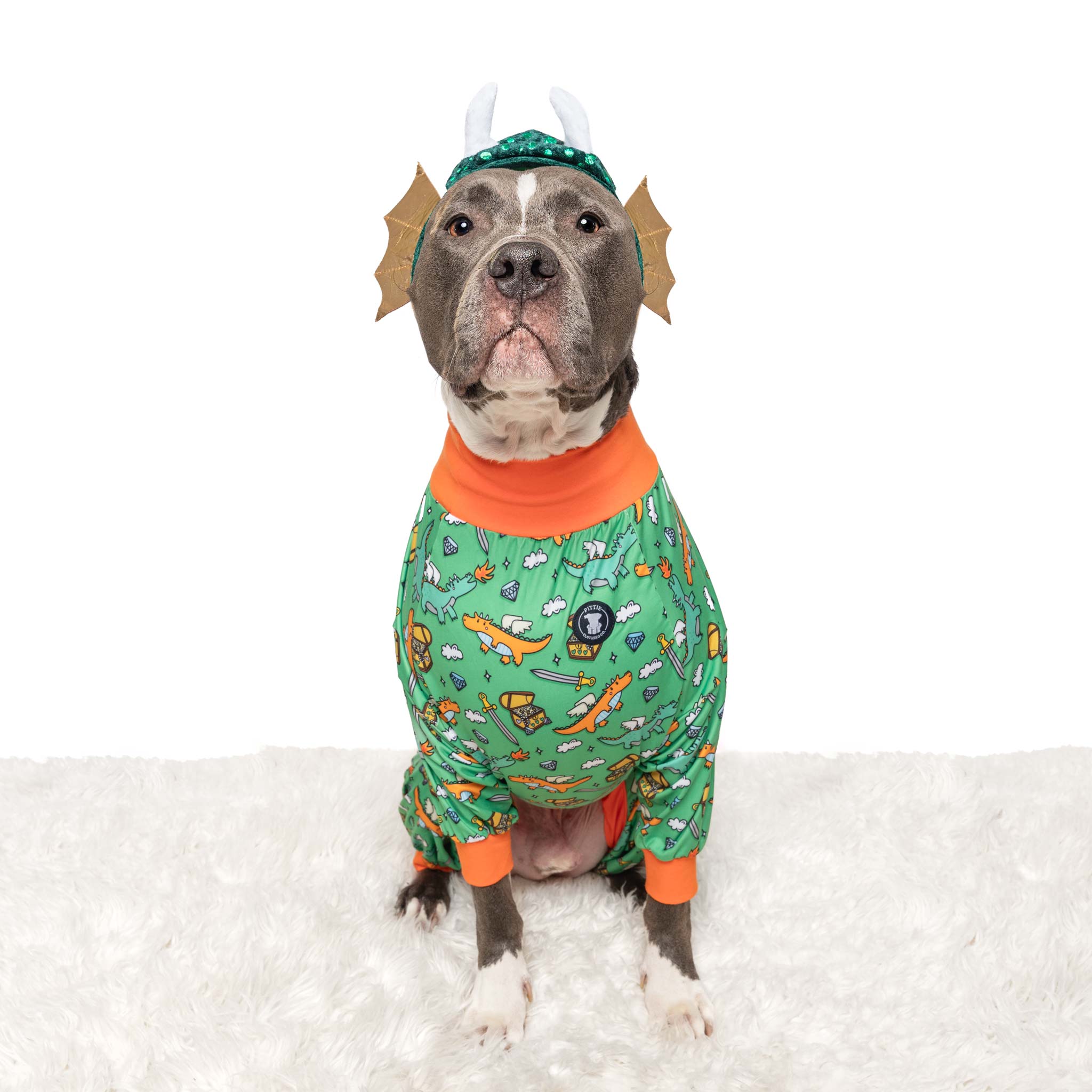 'Dragon Me to Bed' Pit bull Pajamas