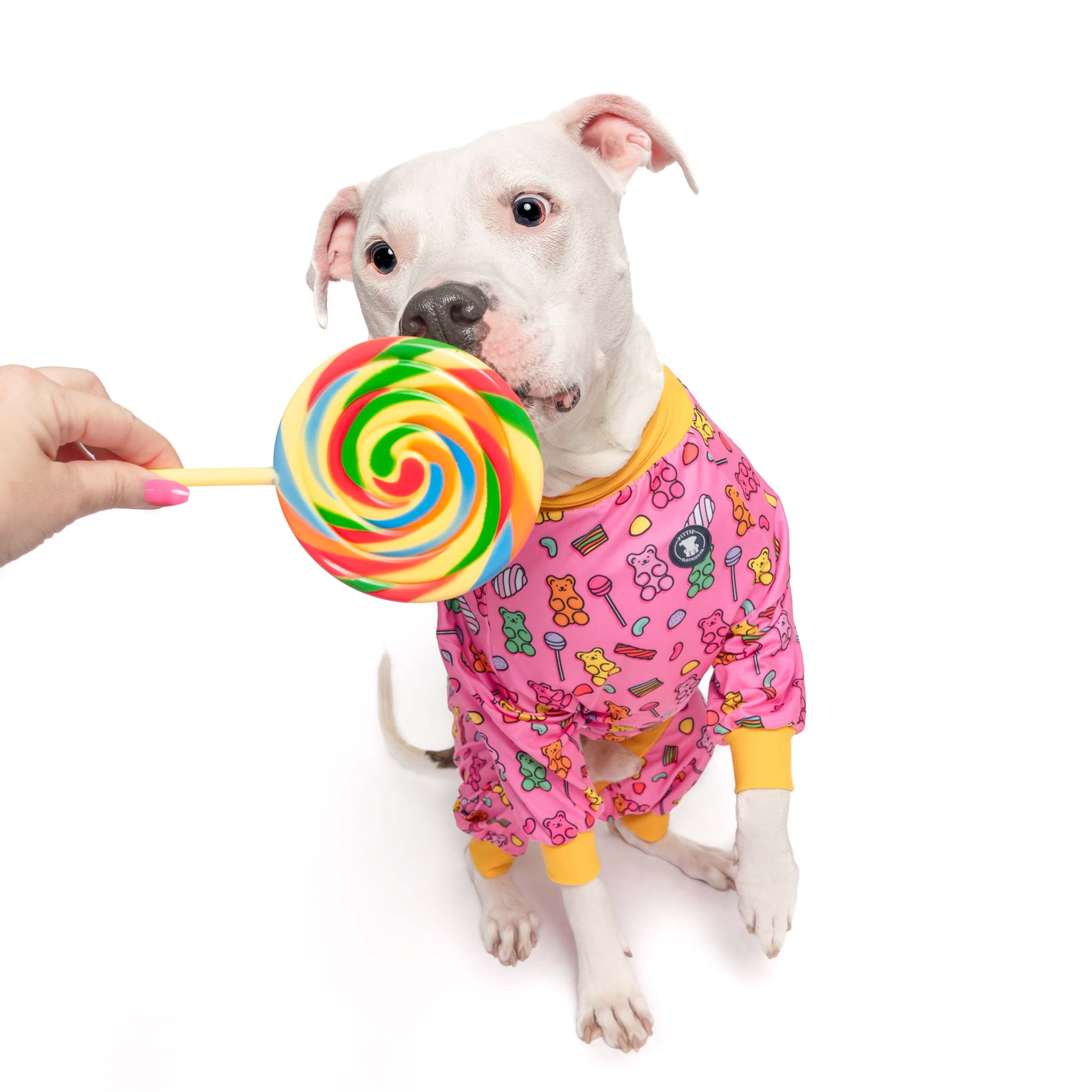 'Pit Some Sugar on Me' Pit bull Pajamas