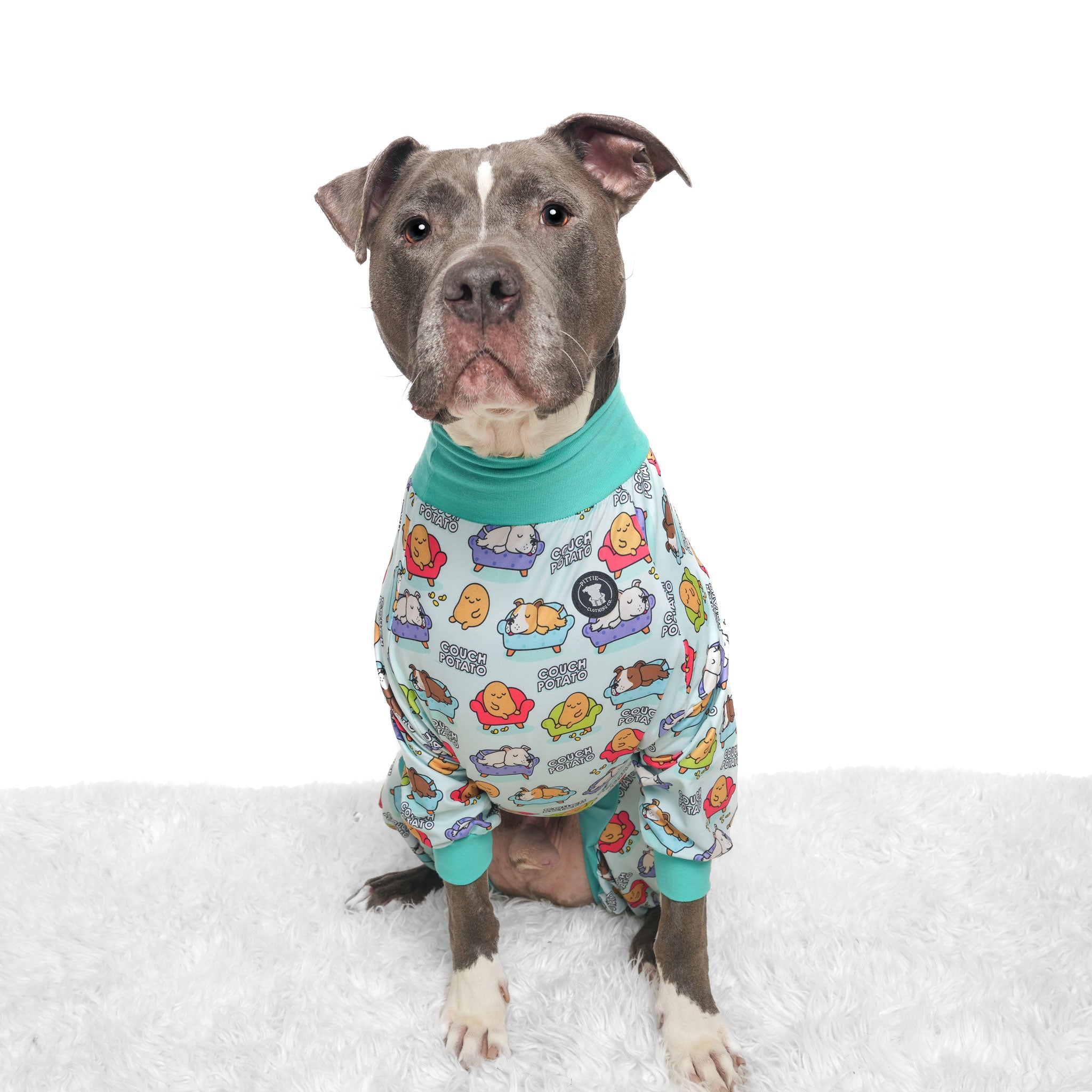Couch Potato Pitbull Pajamas- Blue