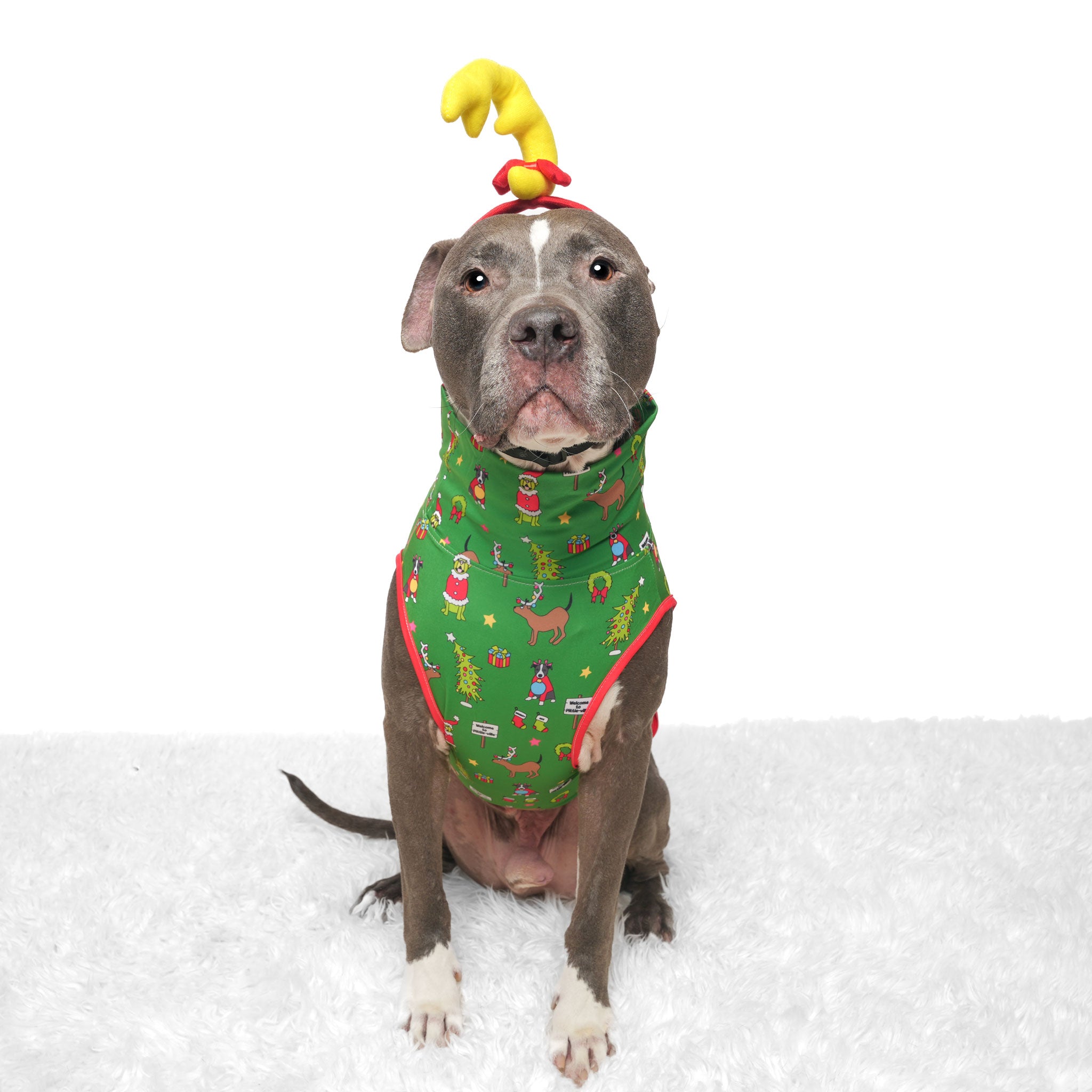 How the Pittie Stole Christmas- Green Muscle Tee
