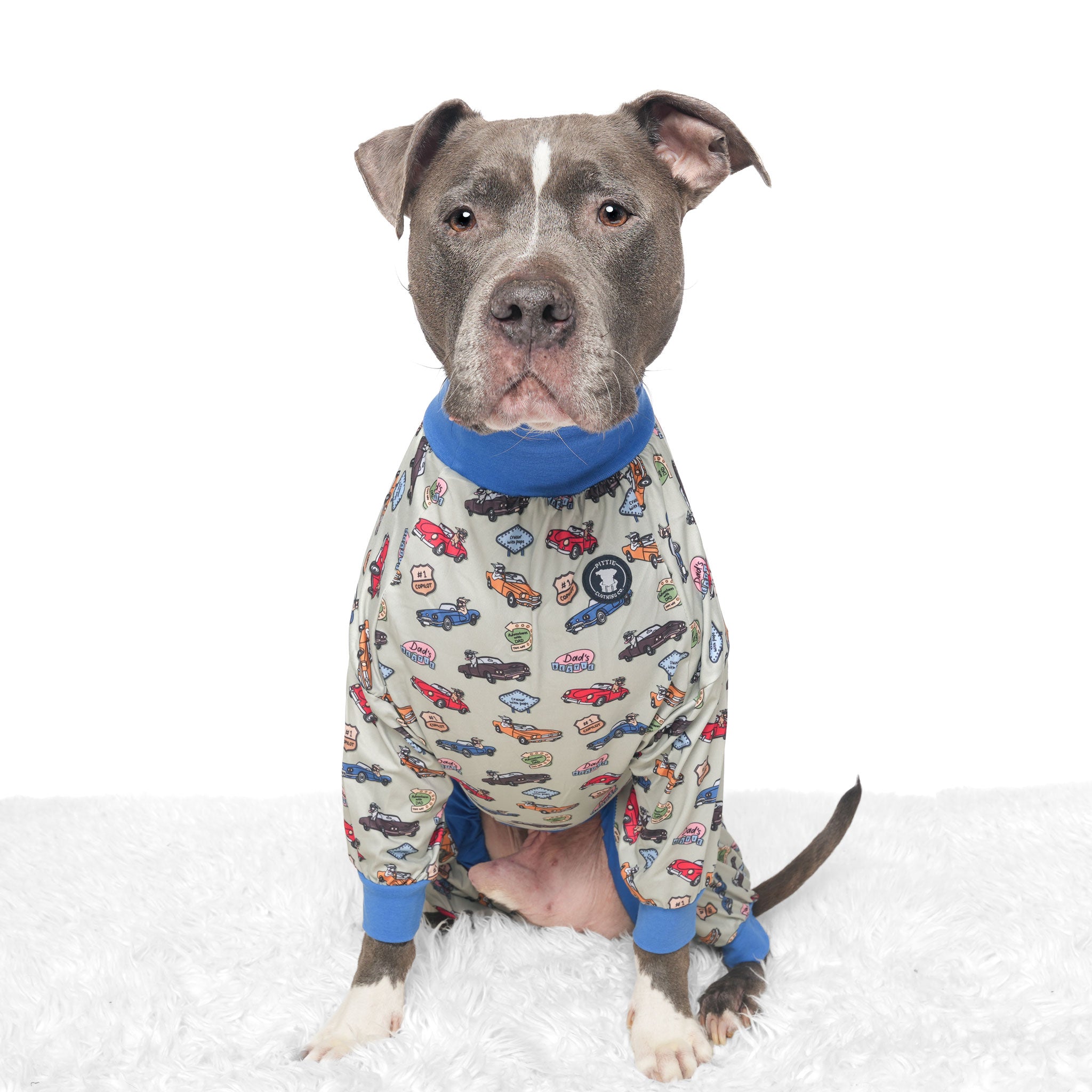 Cruisin' with Pops - Green Pitbull Pajamas