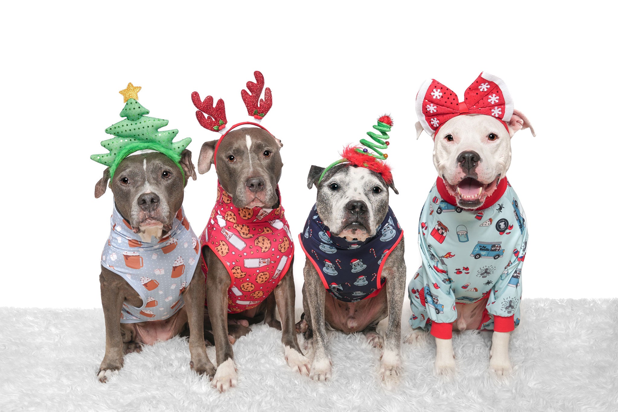 Pitbull Clothing | Clothing for Bully Breeds – Pittie Clothing Co.