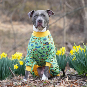 Snuggle Bug Pitbull Pajamas – Pittie Clothing1