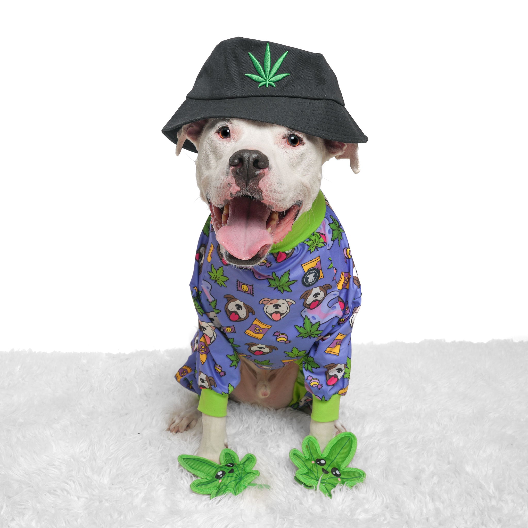 Colonial Ruff Ruffman Pajamas Dog Pajamas – Pittie Clothing Co.