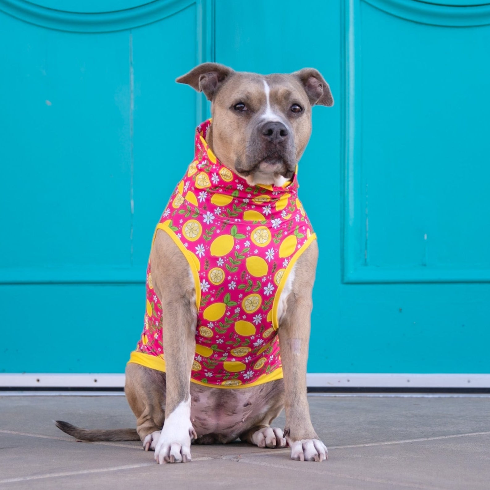 My Main Squeeze Muscle Tee- Pink