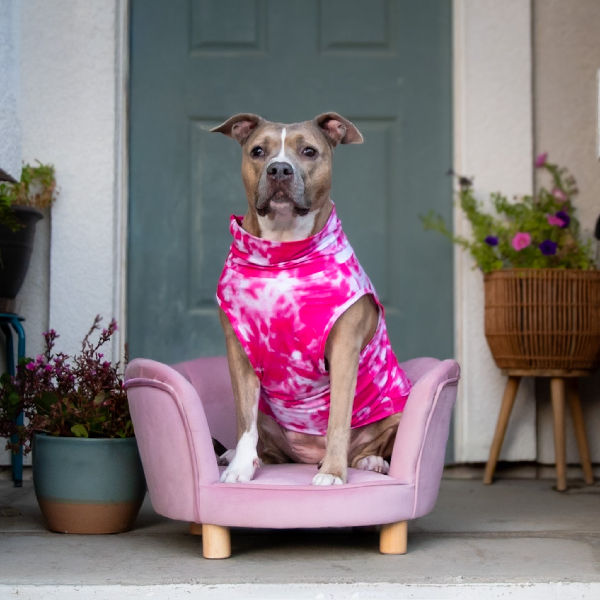 Pink Paw-sitivity Muscle Tee