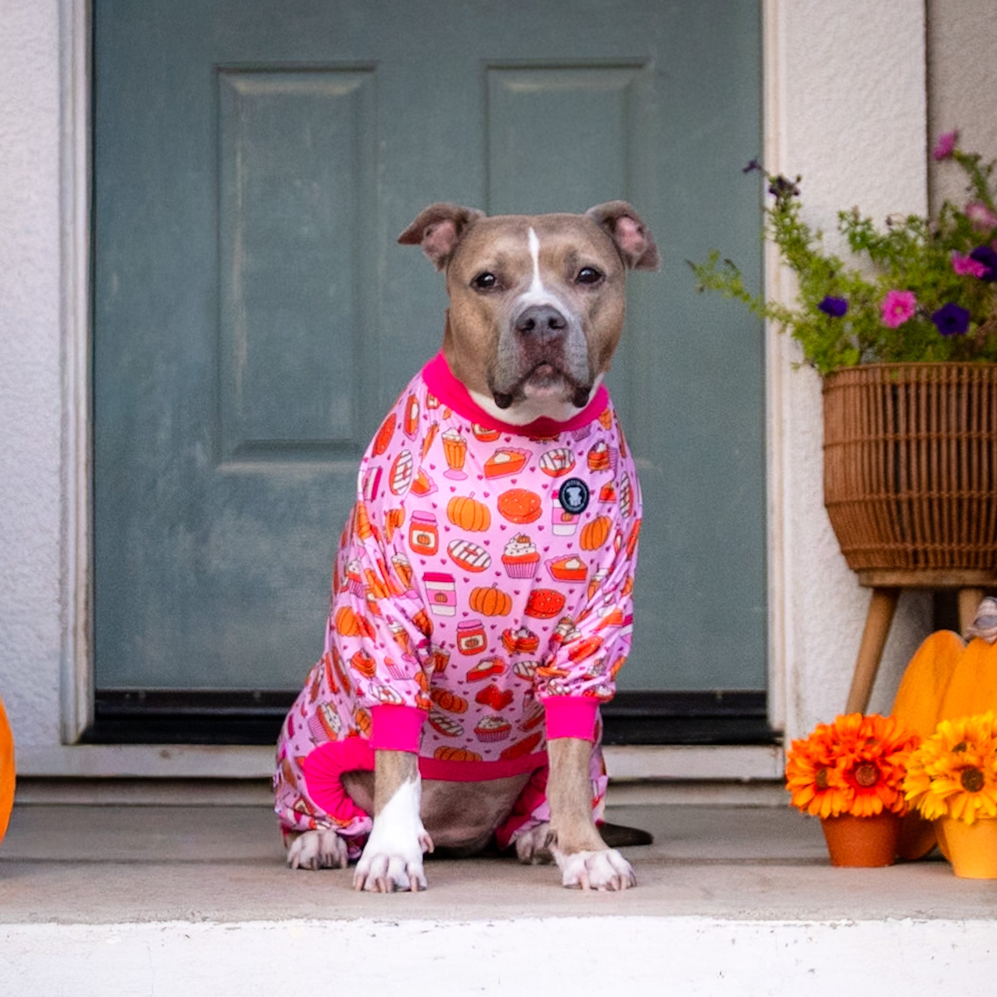 Pawtumn Pumpkin Treats Pitbull Pajamas