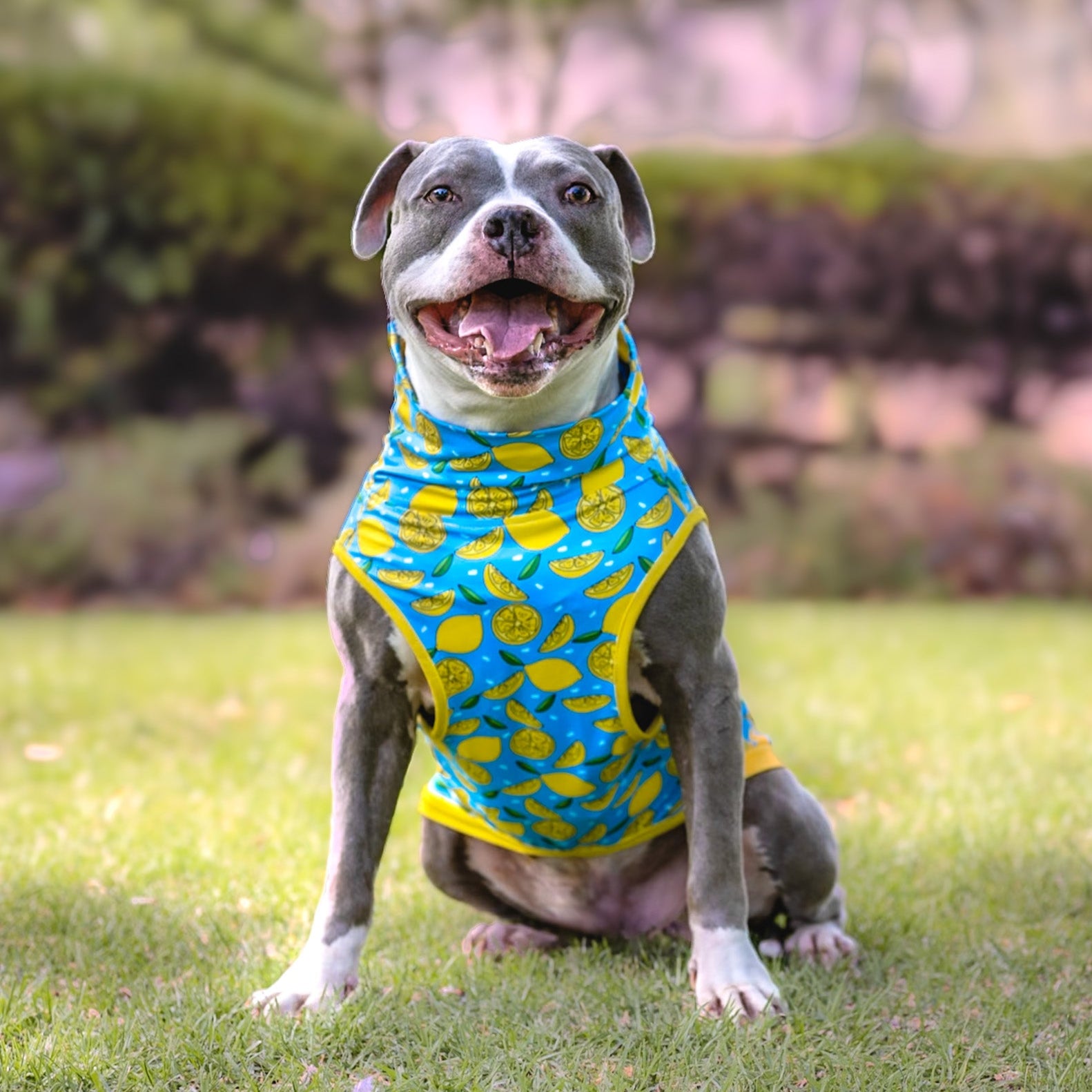 My Main Squeeze Muscle Tee- Blue