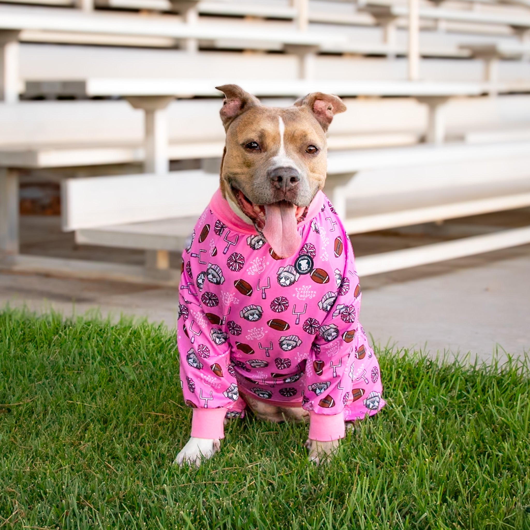 Cheer Pup Squad Pitbull Pajamas