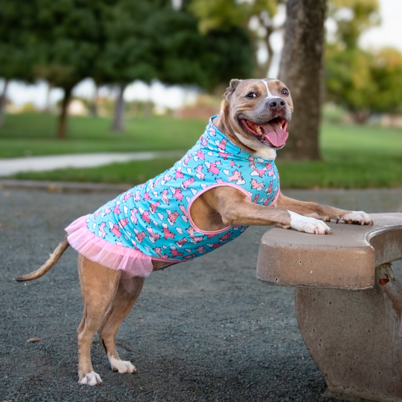 Gettin' Piggy With It TUTU