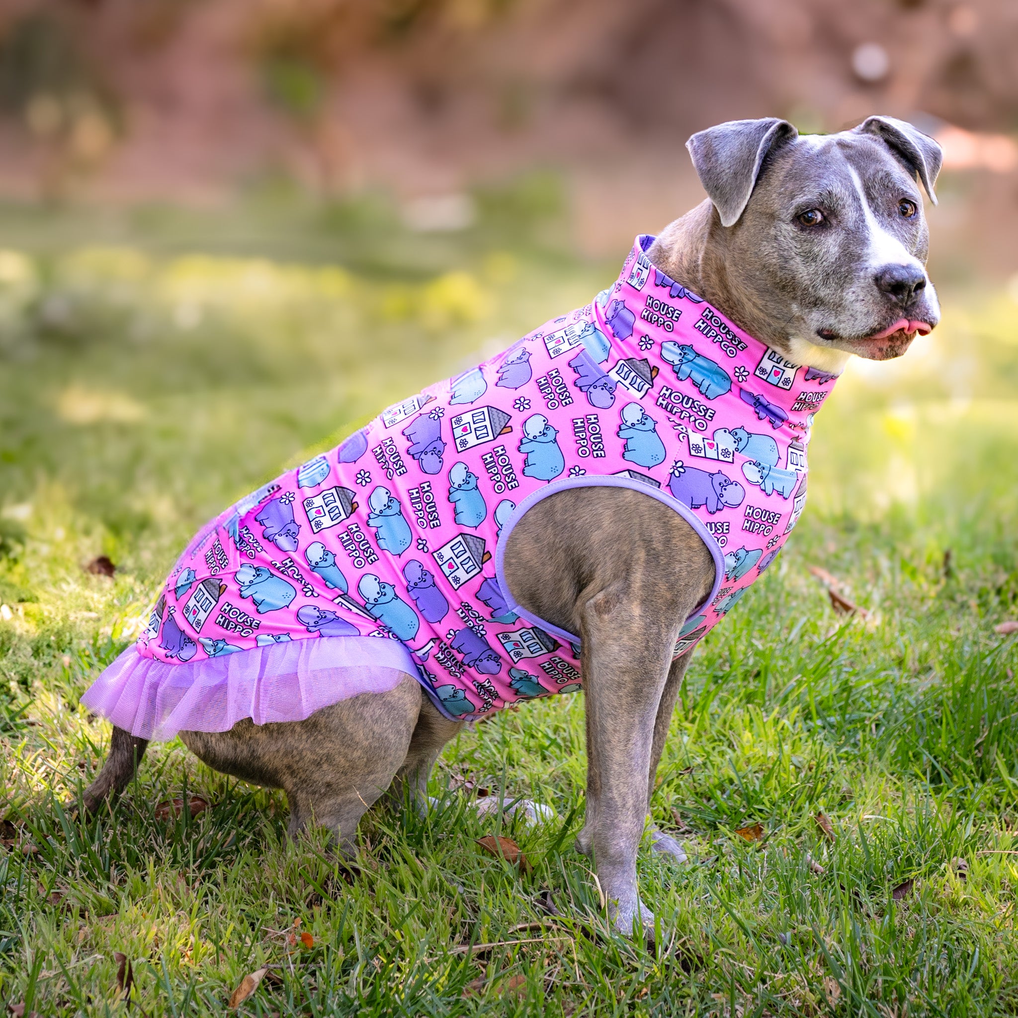 Pink 'Pitty-potamus' TUTU