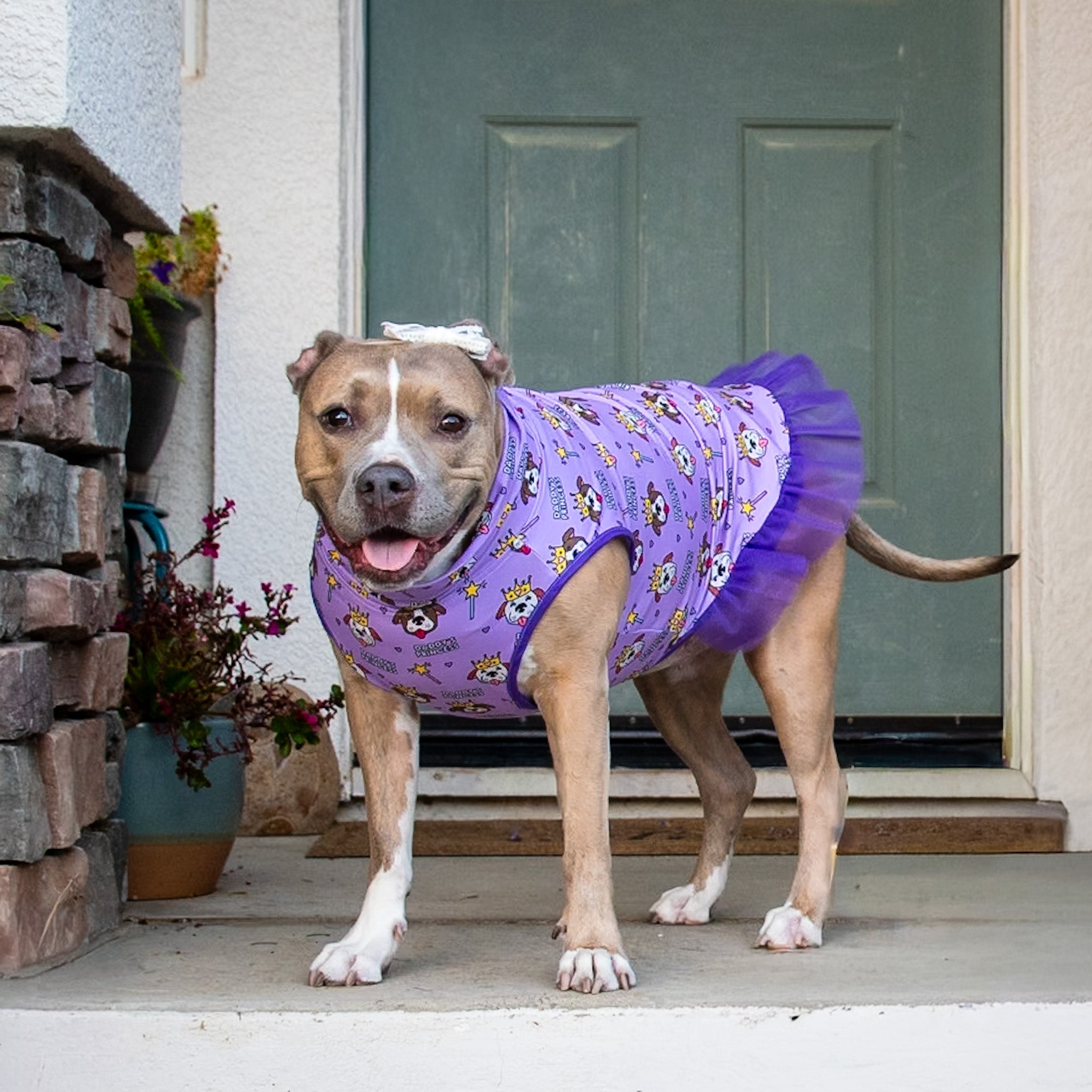 Daddy's Princess TUTU