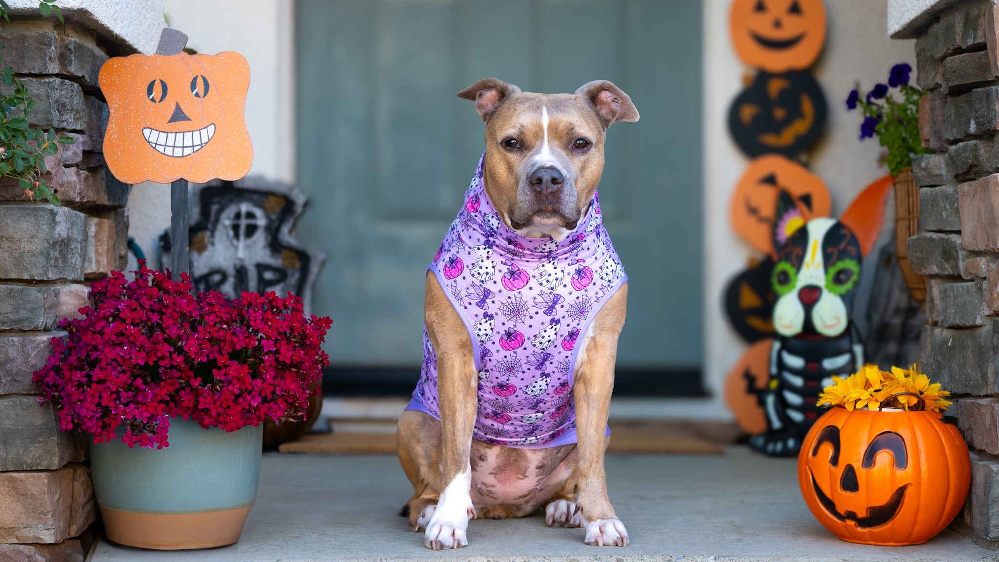 Gourd-geous Ghouls Muscle Tee