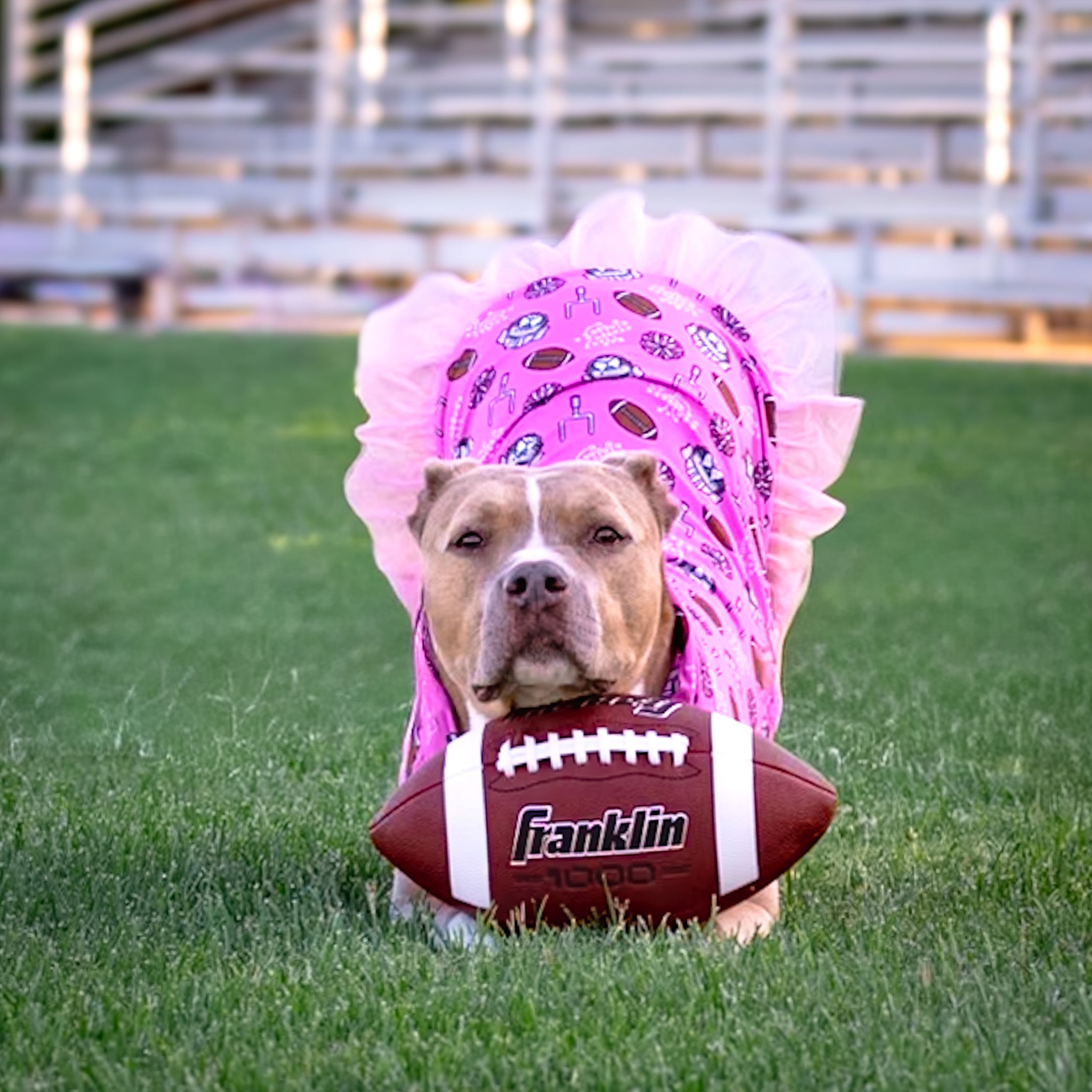 Cheer Pup Squad TUTU