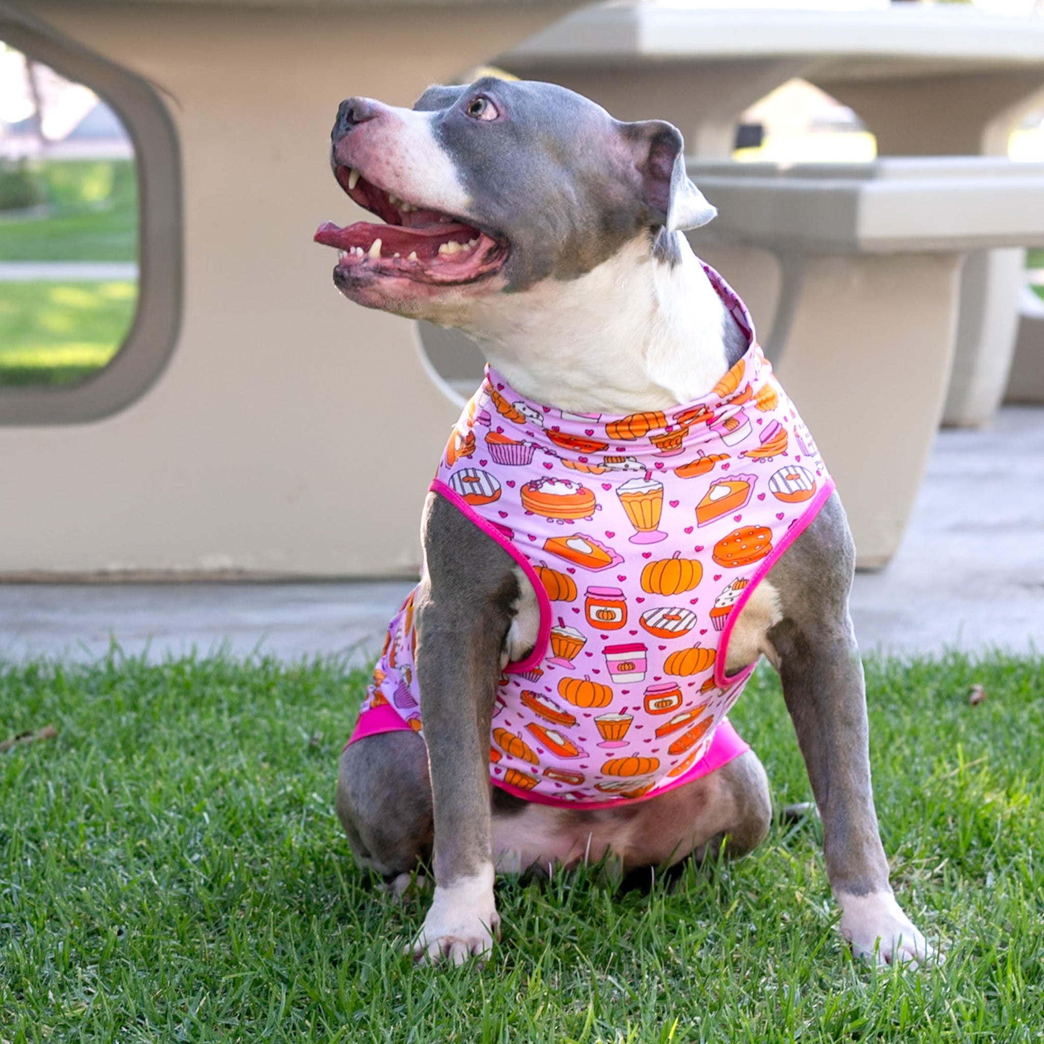 Pawtumn Pumpkin Treats Muscle Tee- FINAL SALE