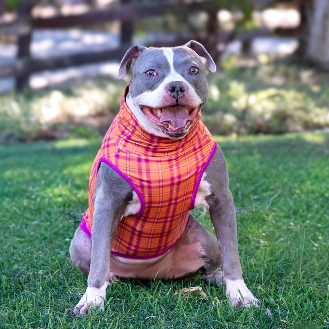 Fetchin’ Fall Plaid Muscle Tee