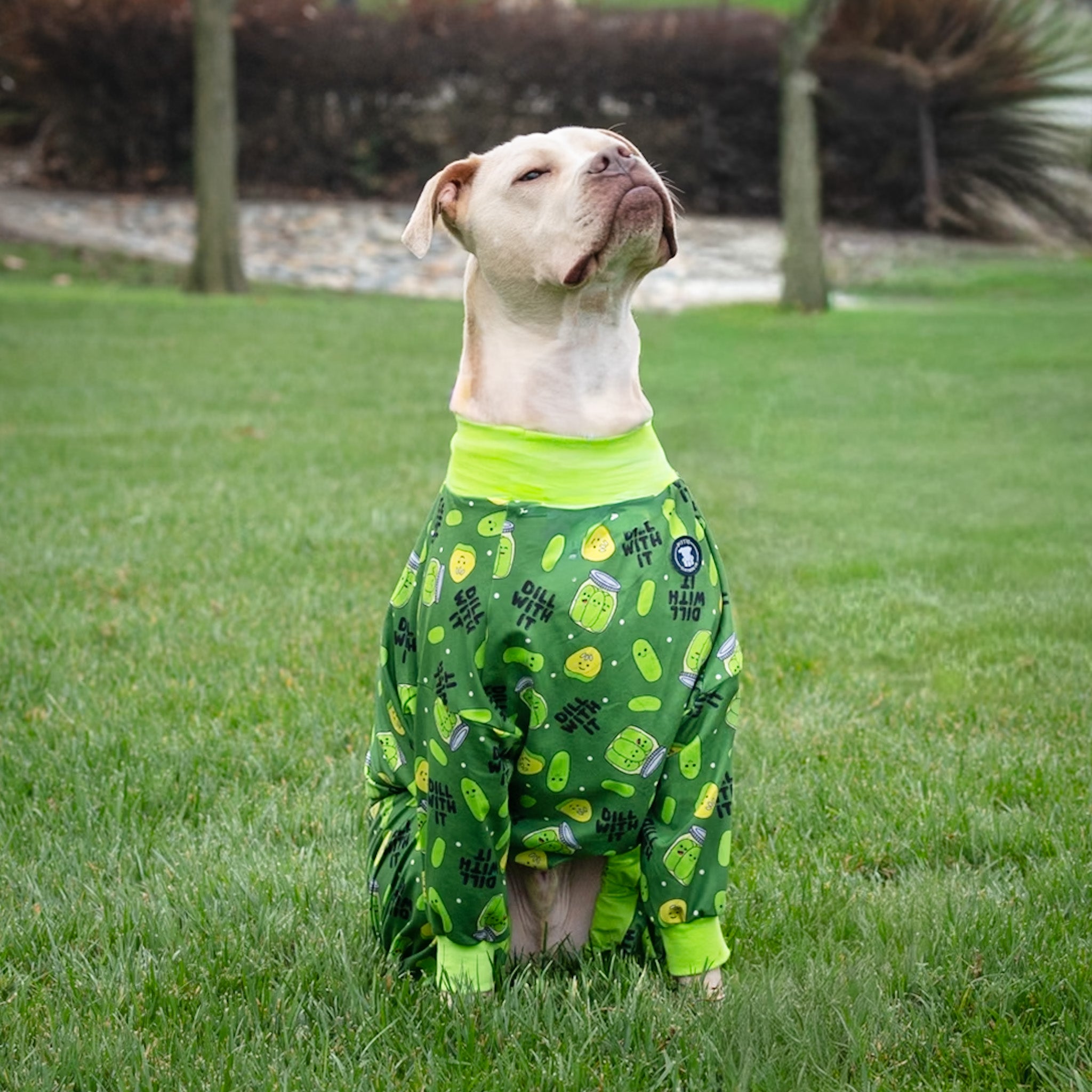 Kind of a Big Dill Pitbull Pajamas